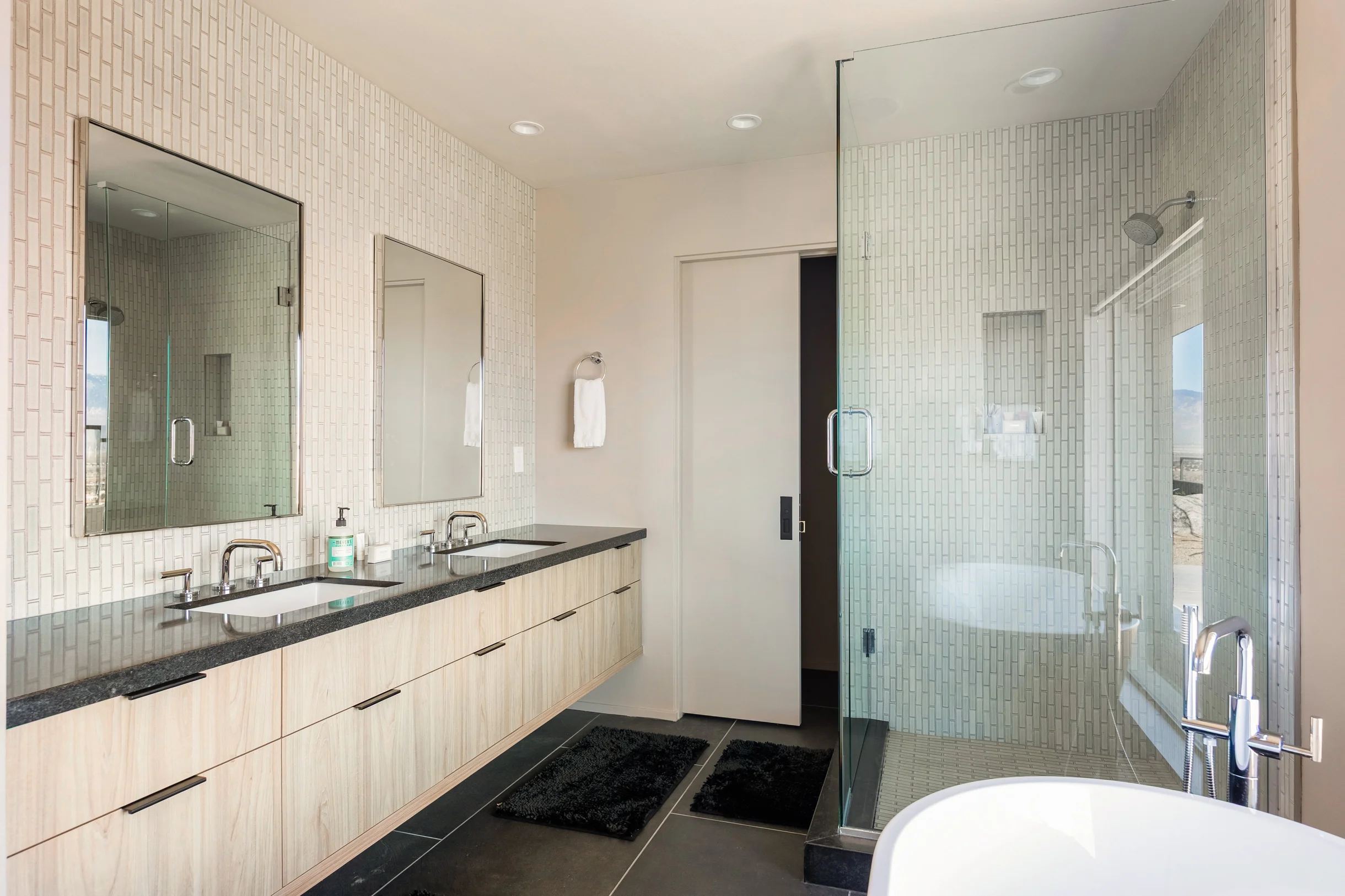 Wander Desert Springs Oasis #100