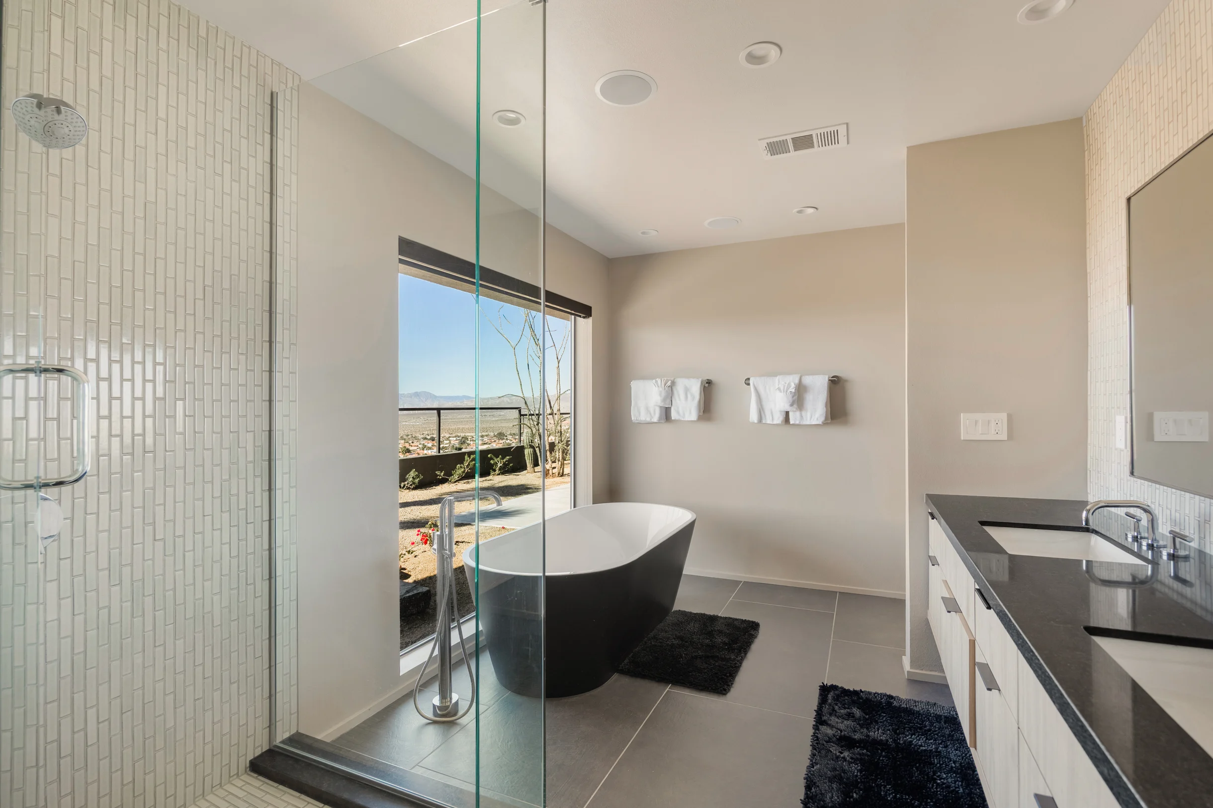 Wander Desert Springs Oasis #54