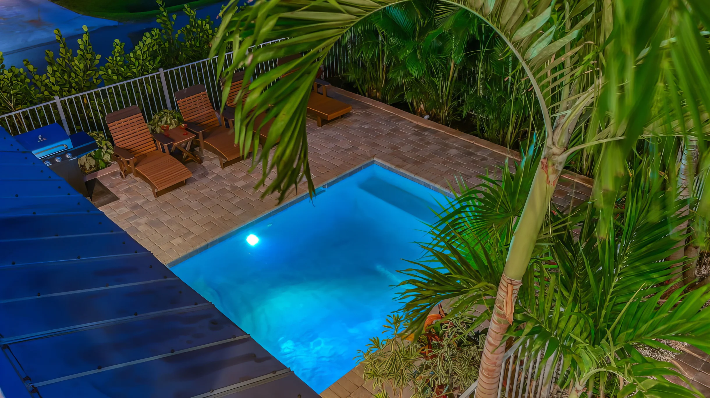 Wander Sarasota Tides #61