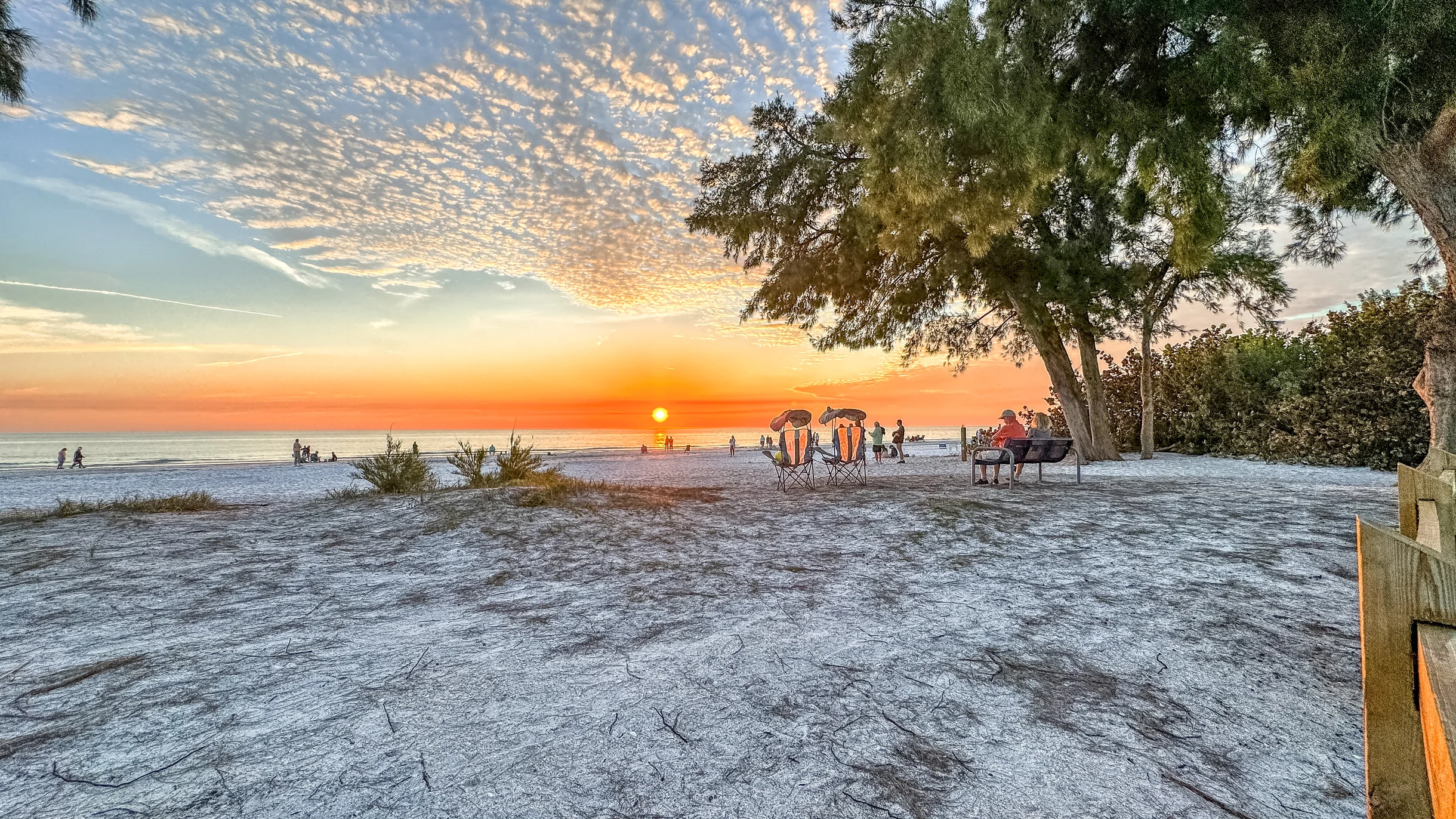 Wander Anna Maria Salty #55