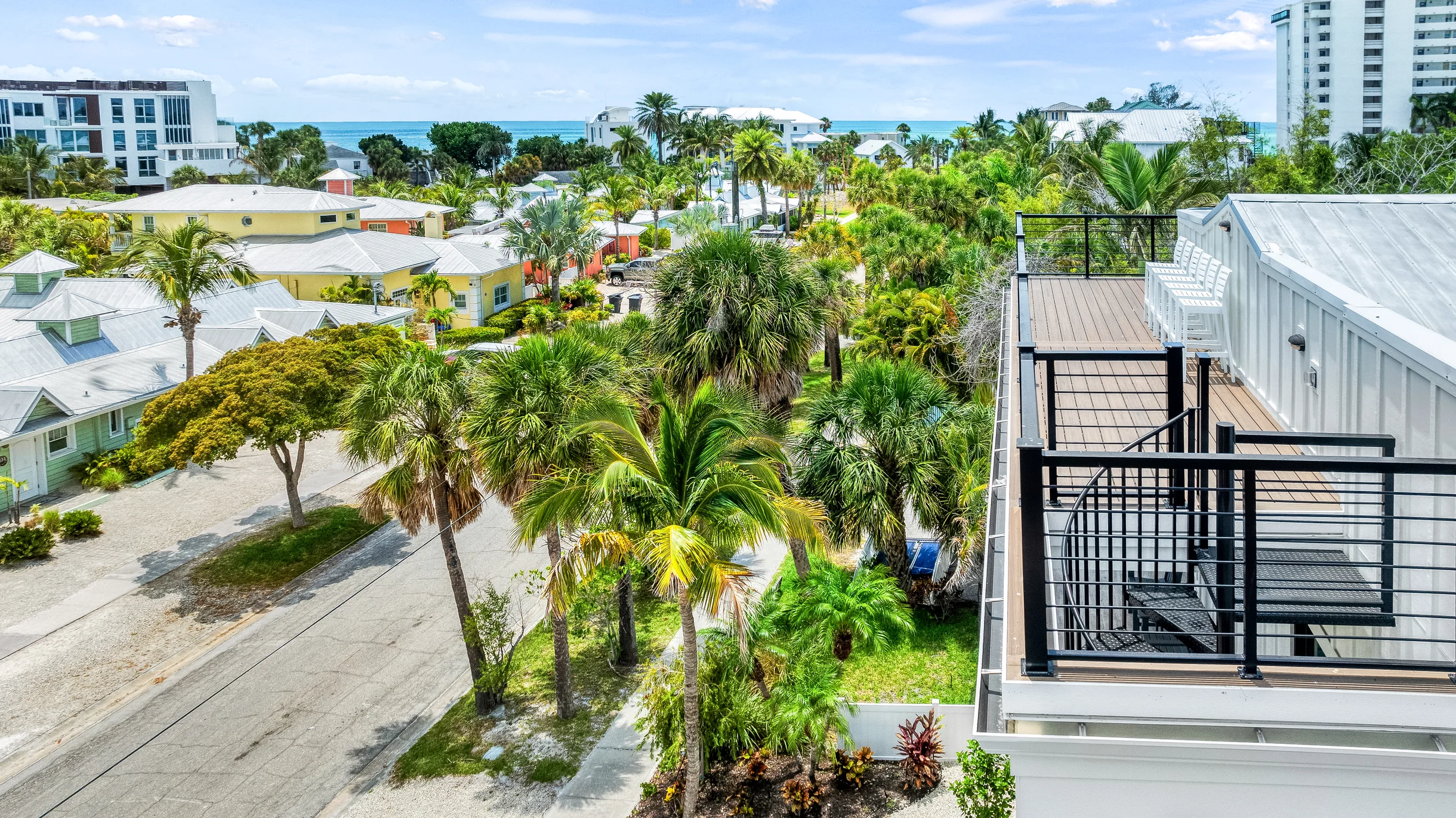 Wander Siesta Key Palms #38