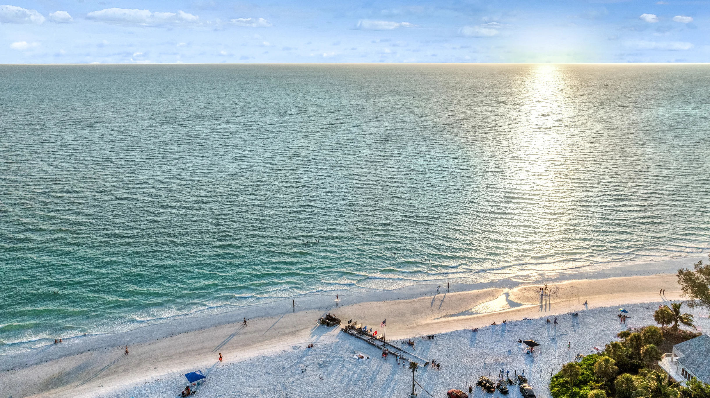 Wander Siesta Key Palms #90