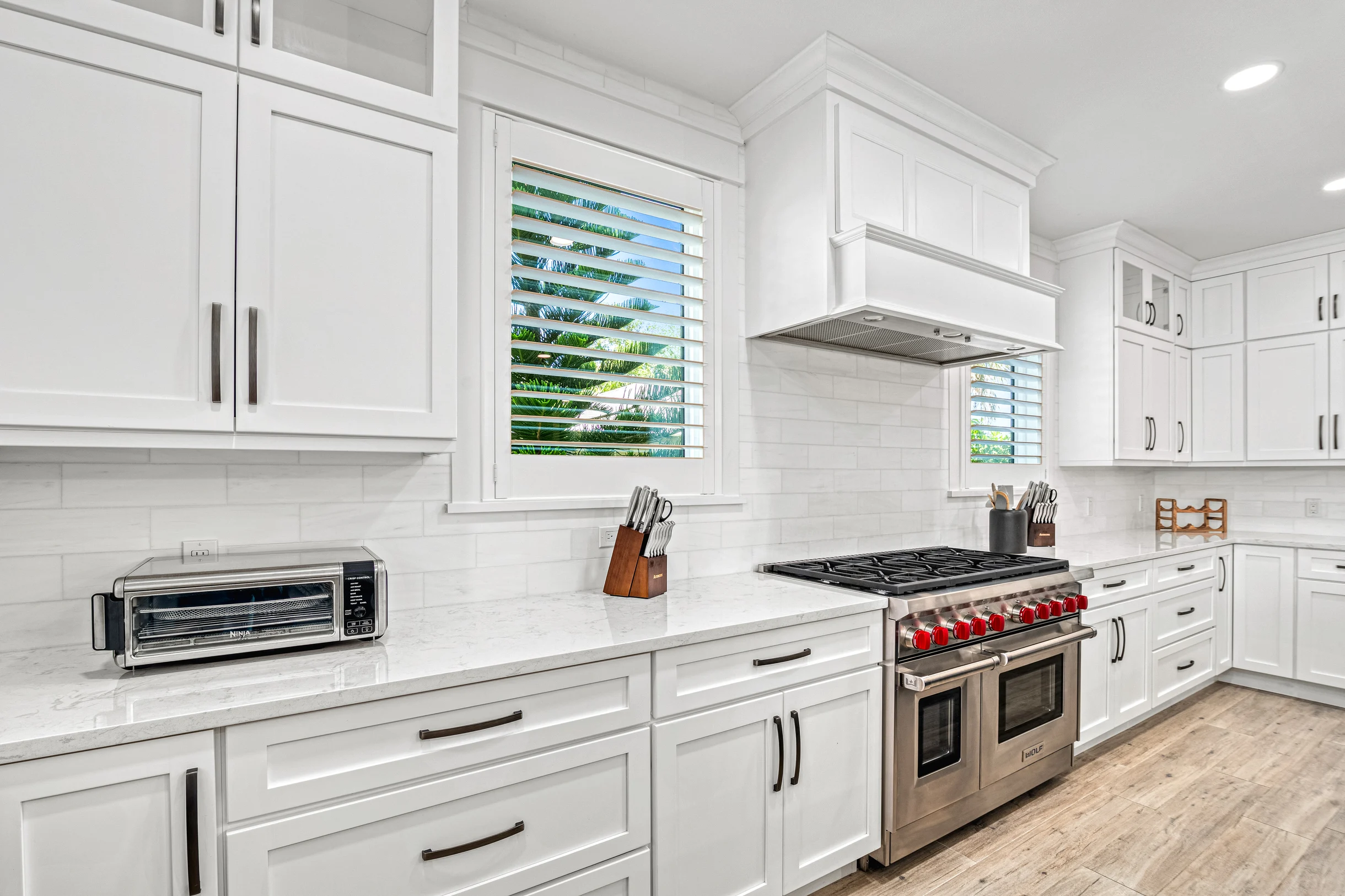 Wander Siesta Key Palms #44