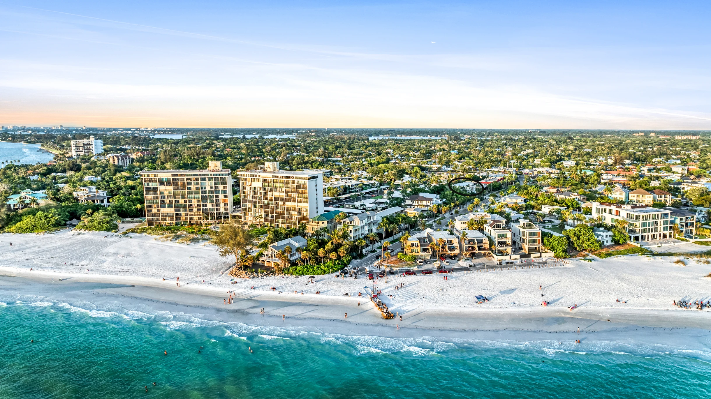 Wander Siesta Key Palms #88