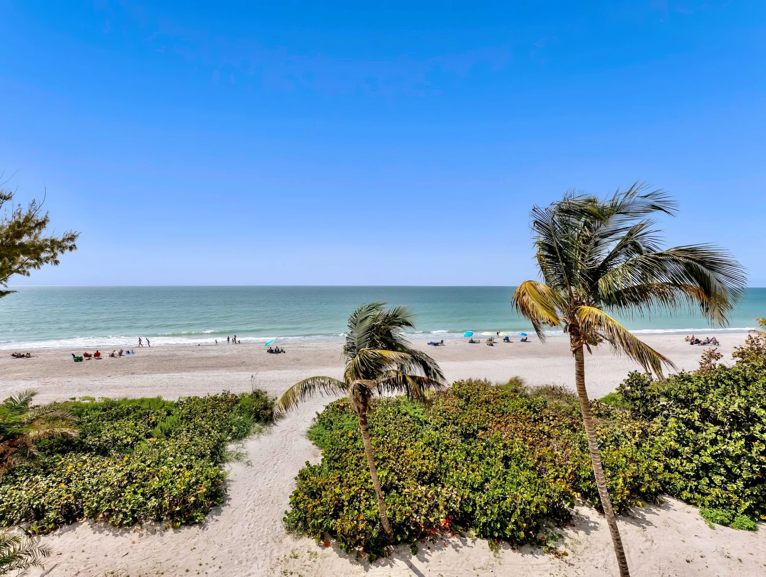 Wander Captiva Eden #96