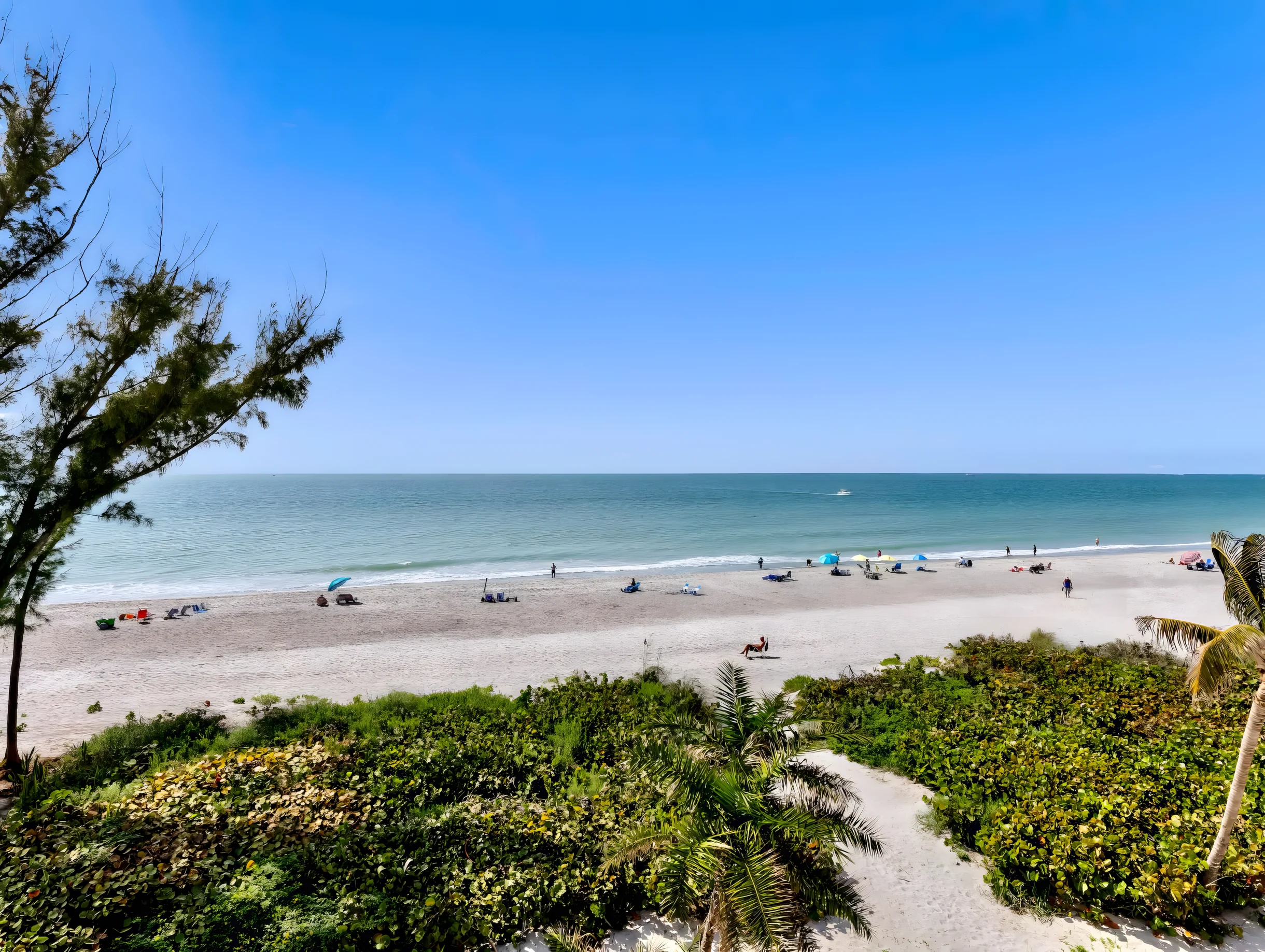 Wander Captiva Eden #94