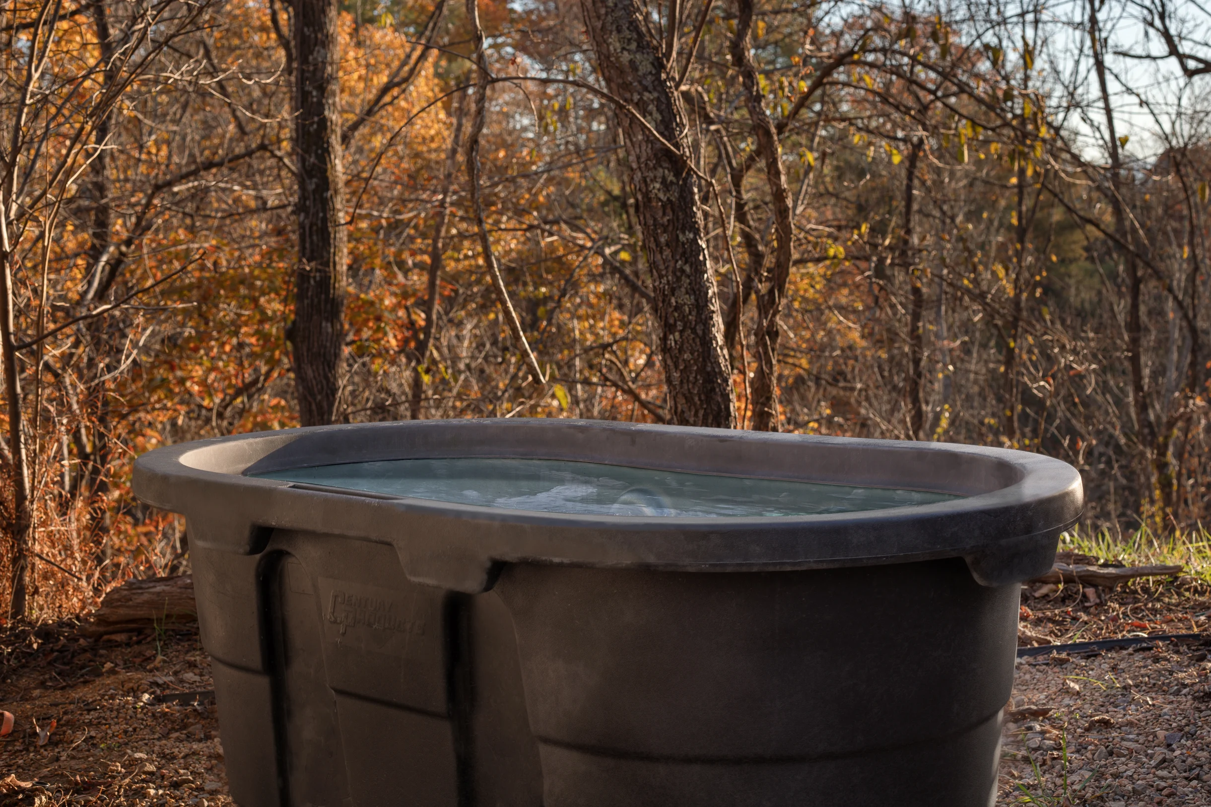 Wander Alexander Retreat #49