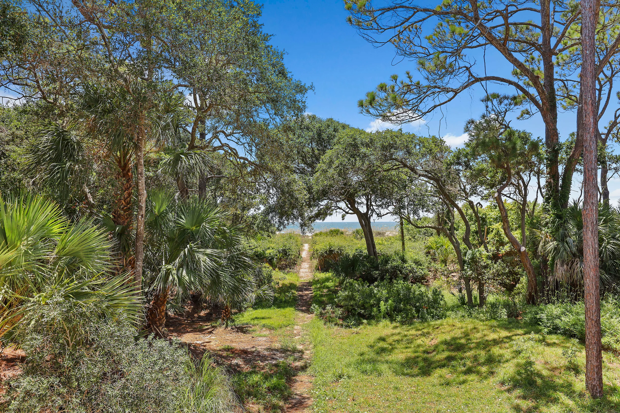 Wander Hilton Head Lotus #66