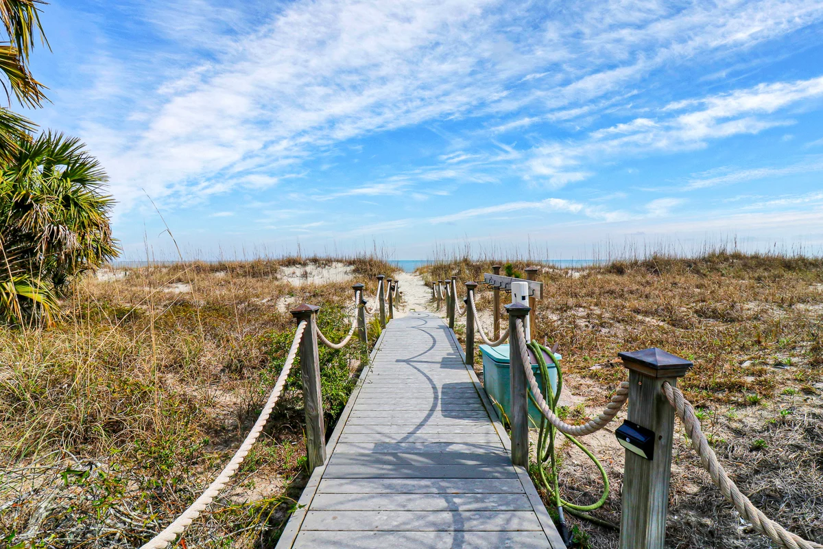 Wander Hilton Head Scenic #50