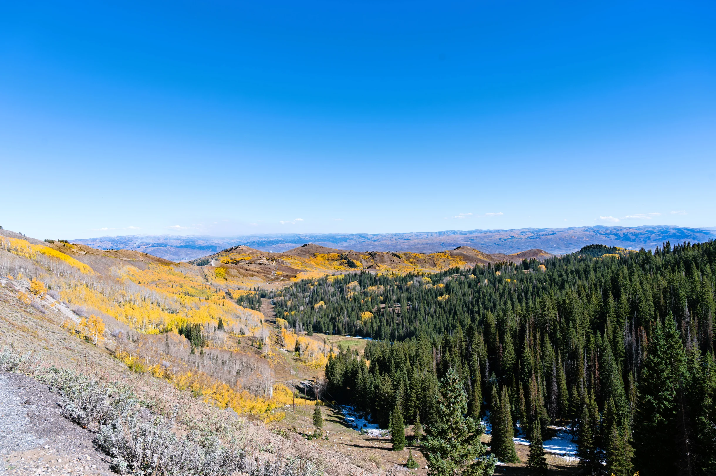 Wander Park City Allure #36