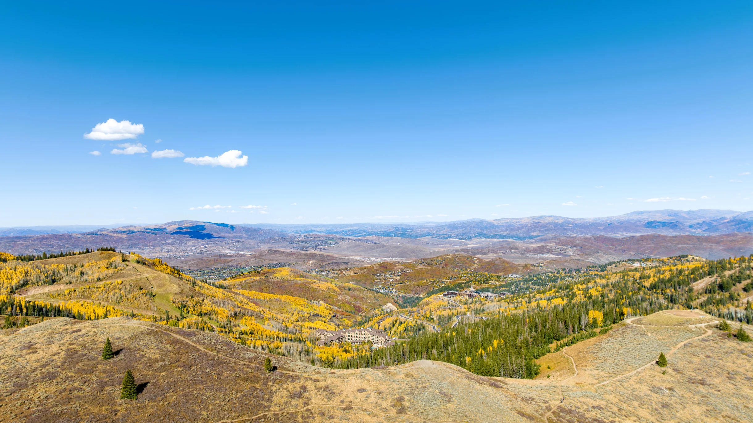 Wander Park City Allure #31