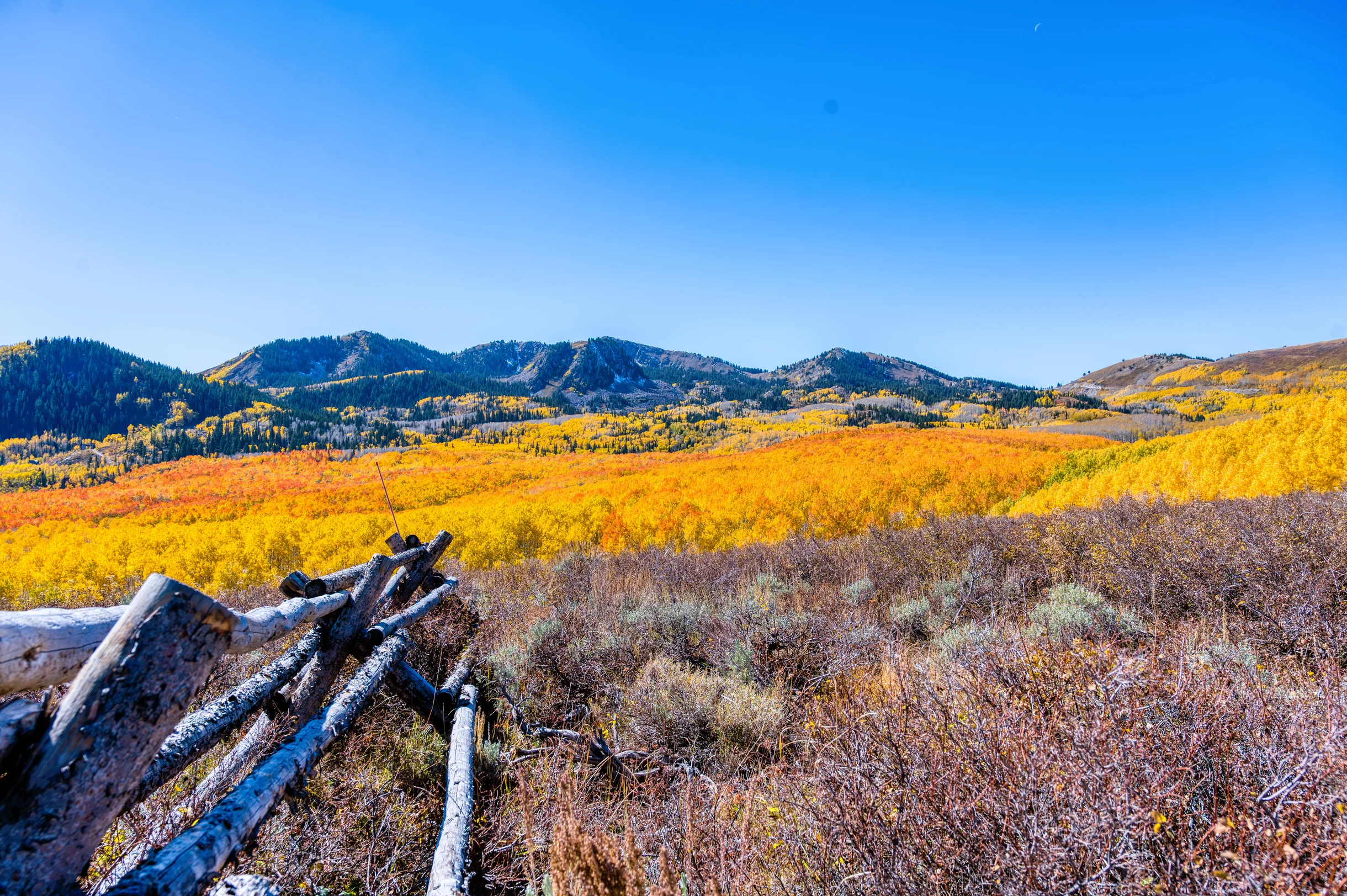 Wander Park City Allure #33