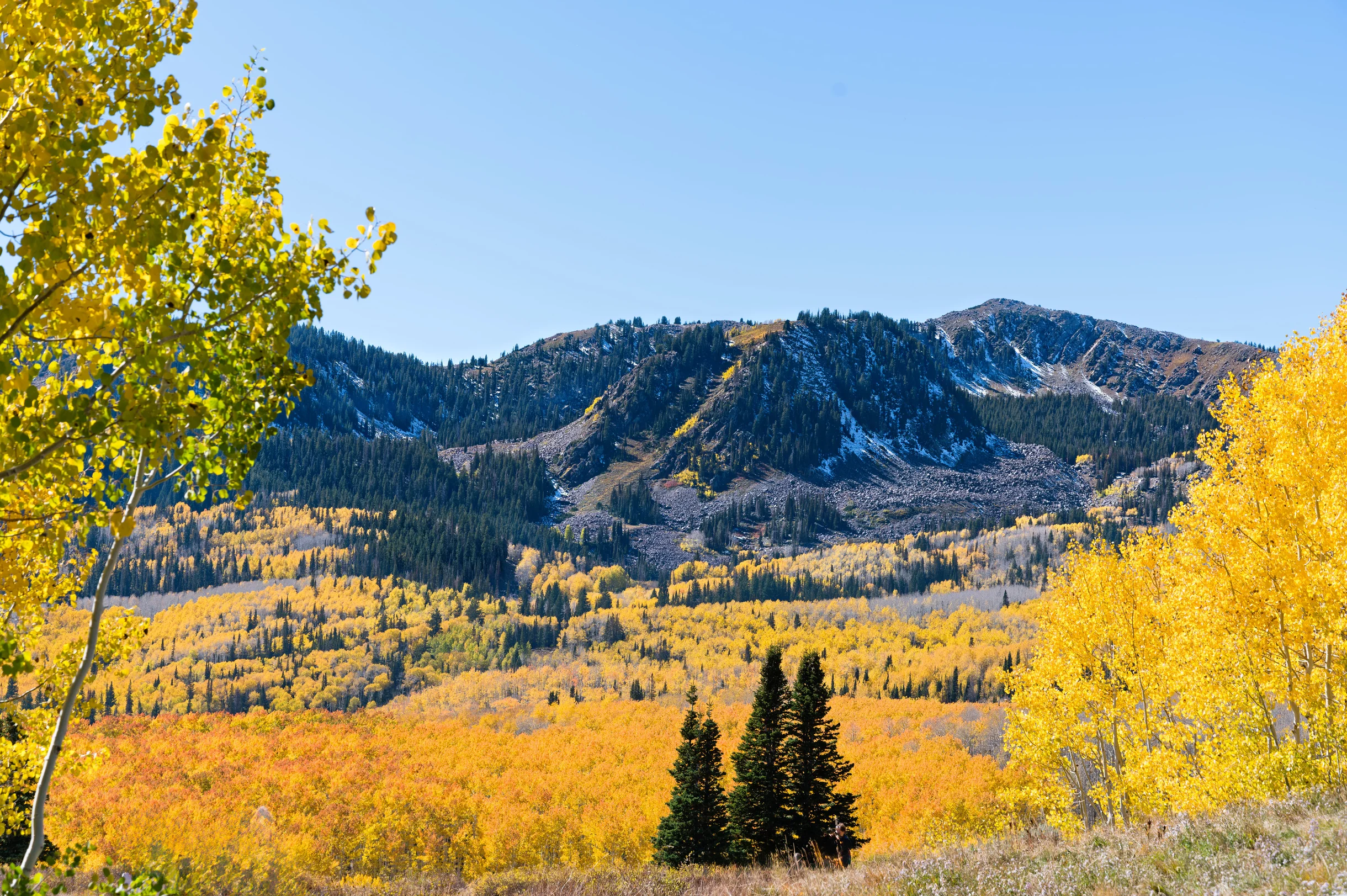 Wander Park City Allure #34