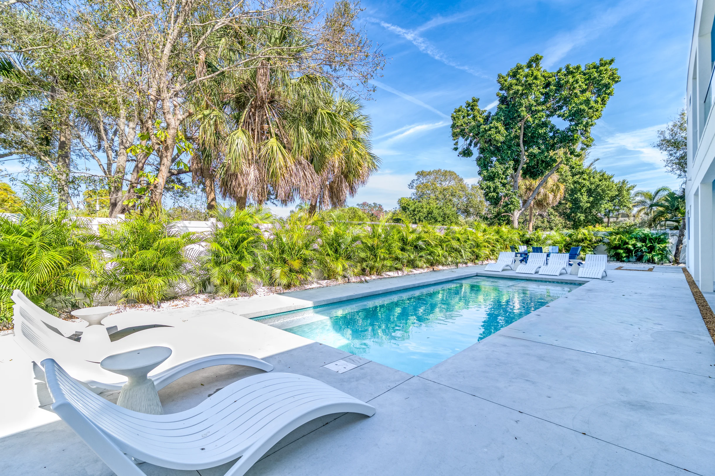 Wander Sarasota Palms #41