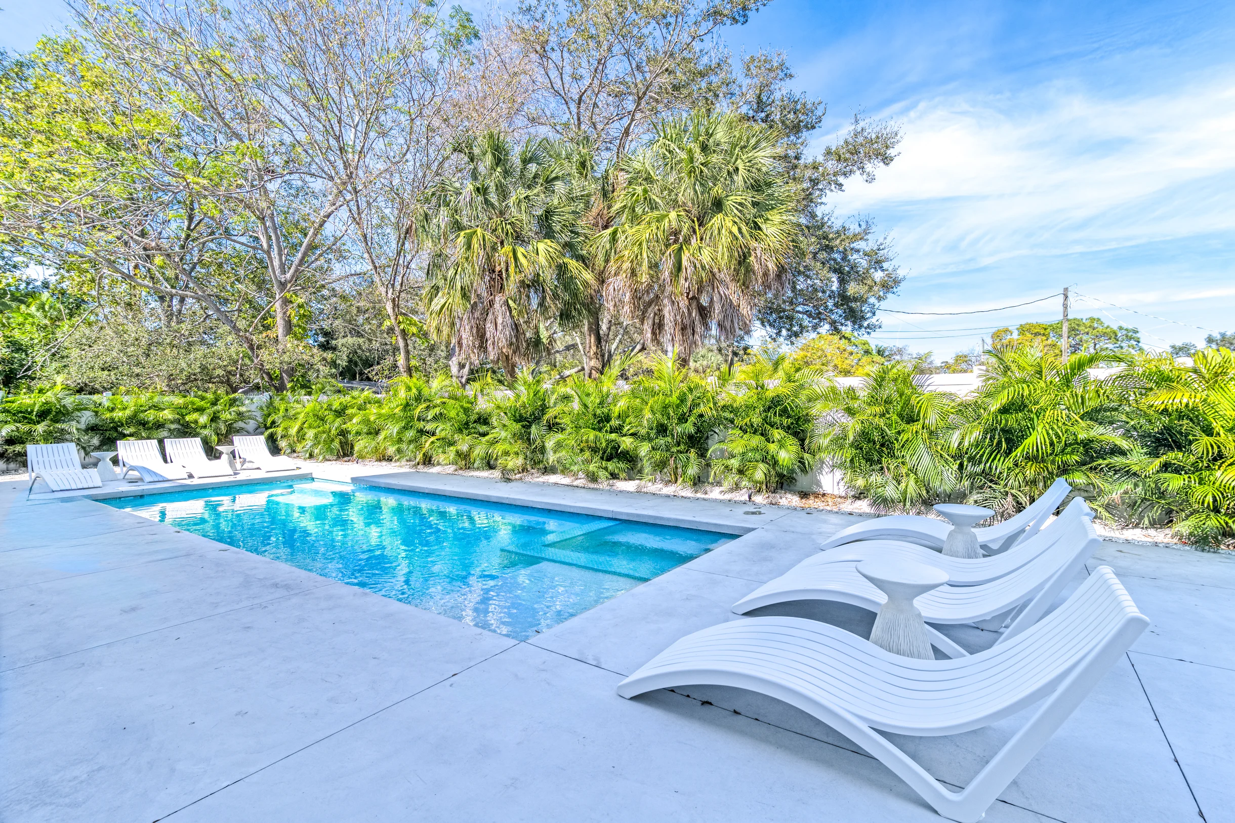 Wander Sarasota Palms #50