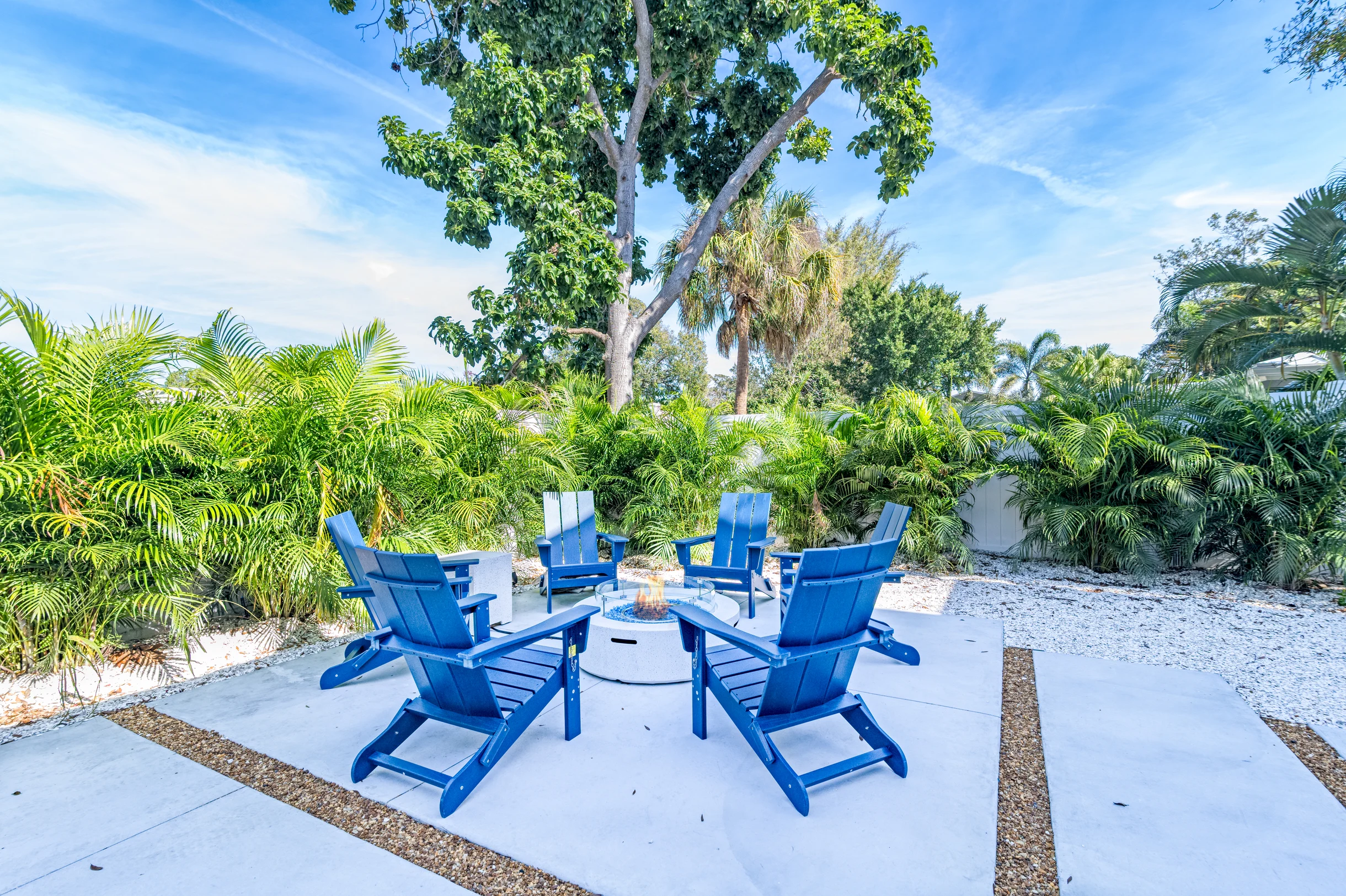 Wander Sarasota Palms #25