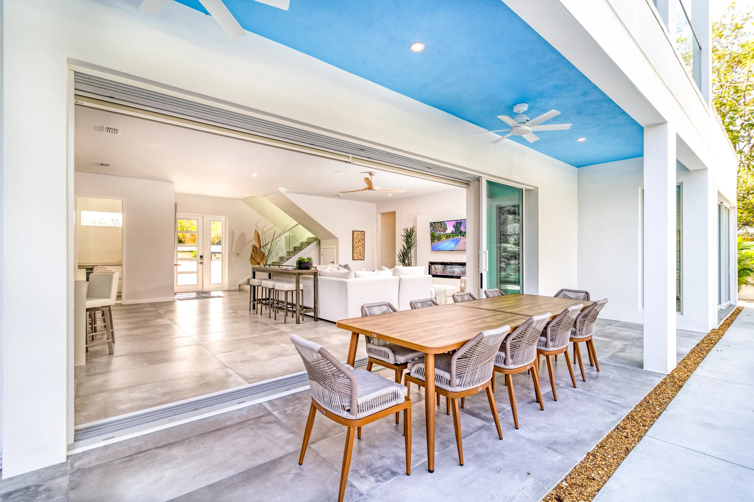 Wander Sarasota Palms #4