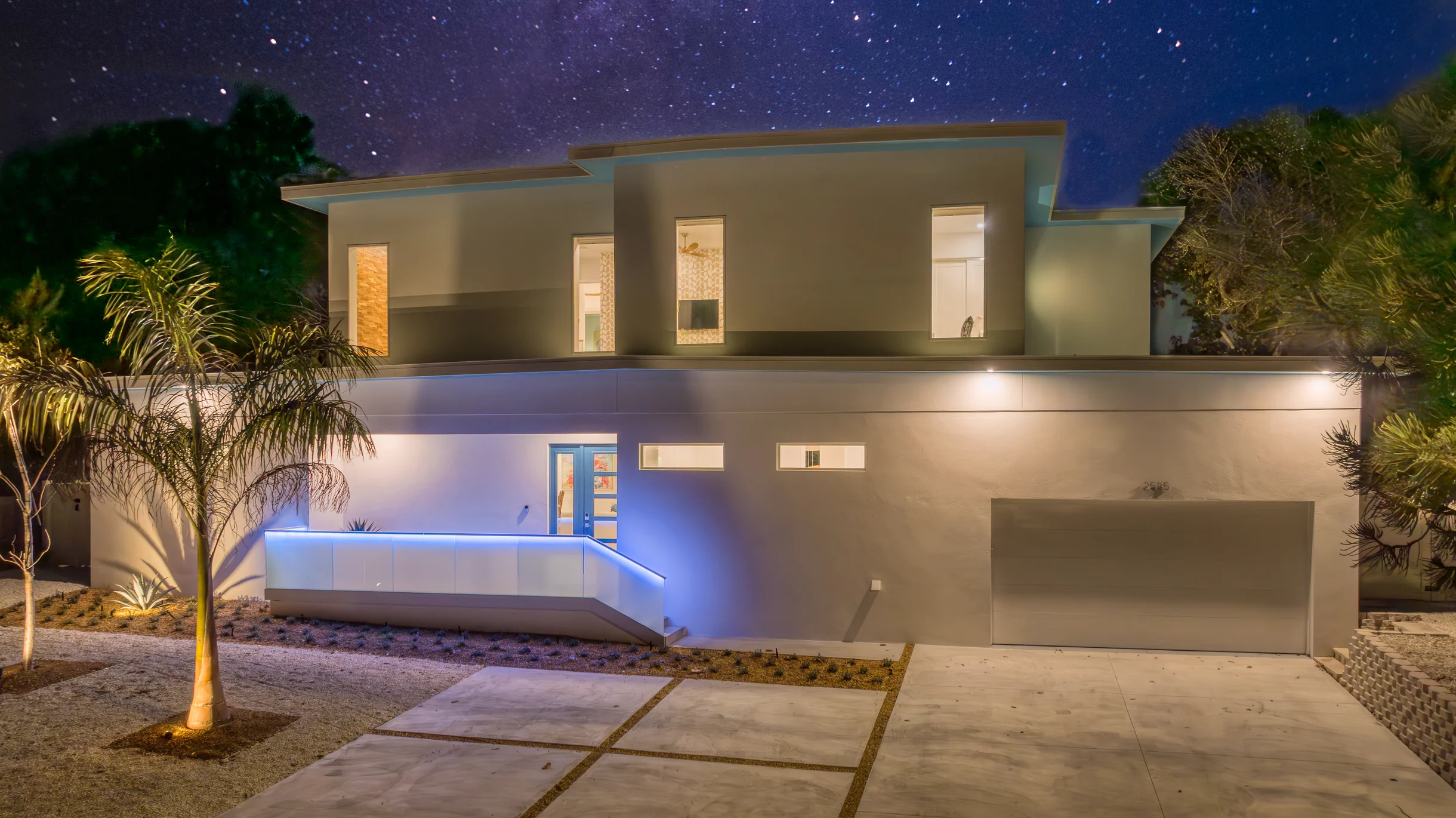 Wander Sarasota Palms #4