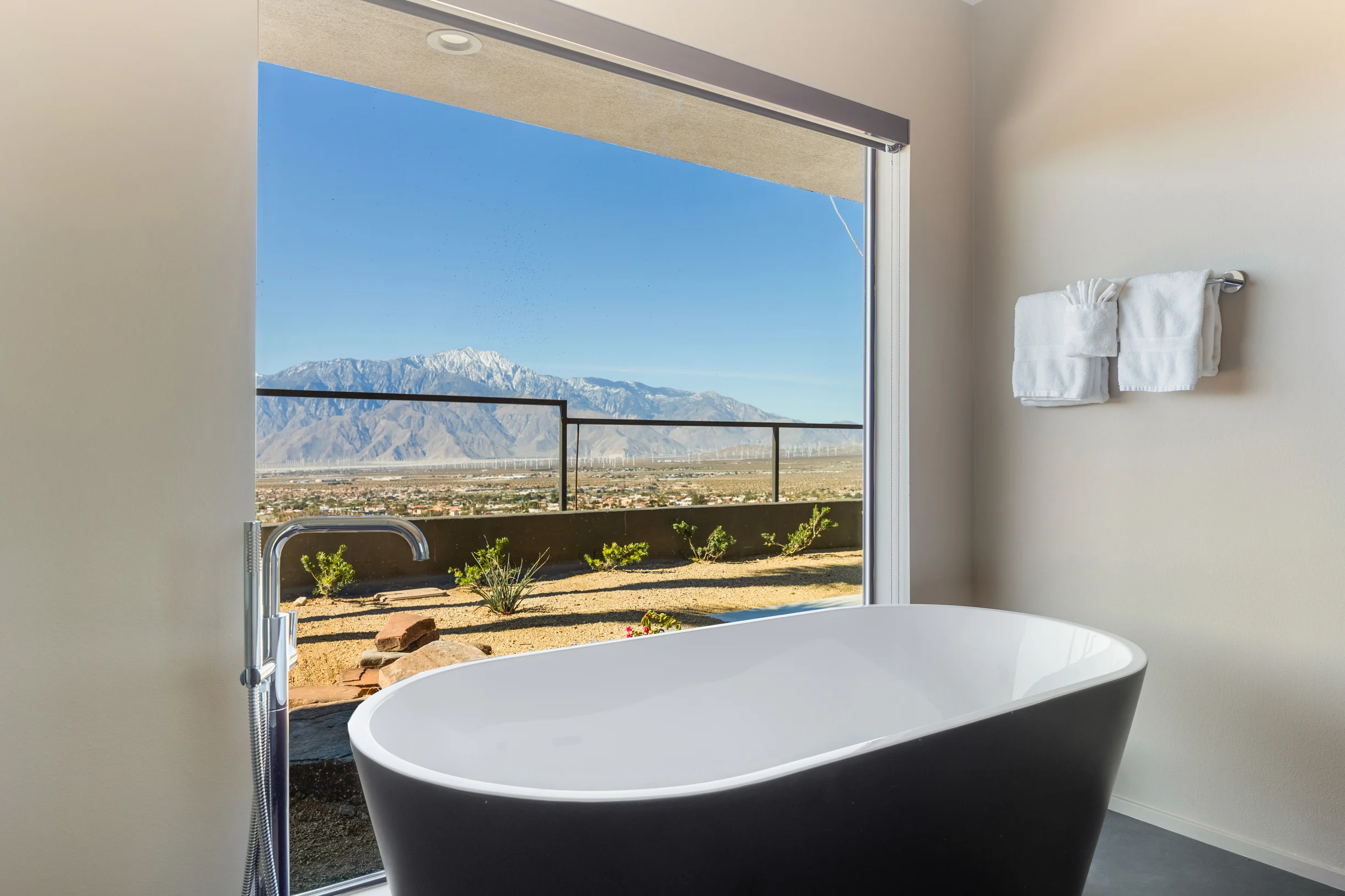 Wander Desert Springs Oasis #29