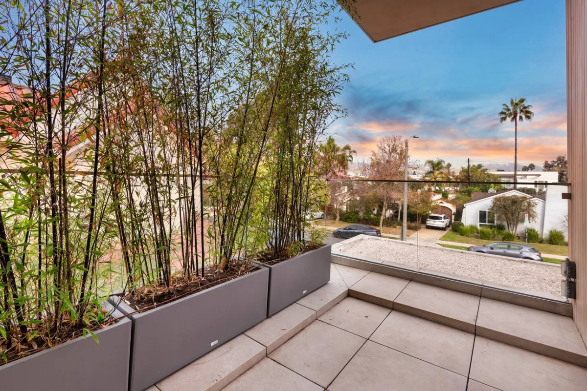 Wander Beverly Allure #5