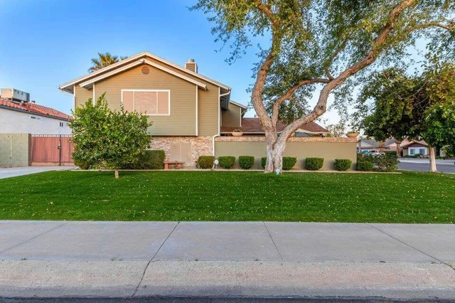 Wander Mesa Solace #4