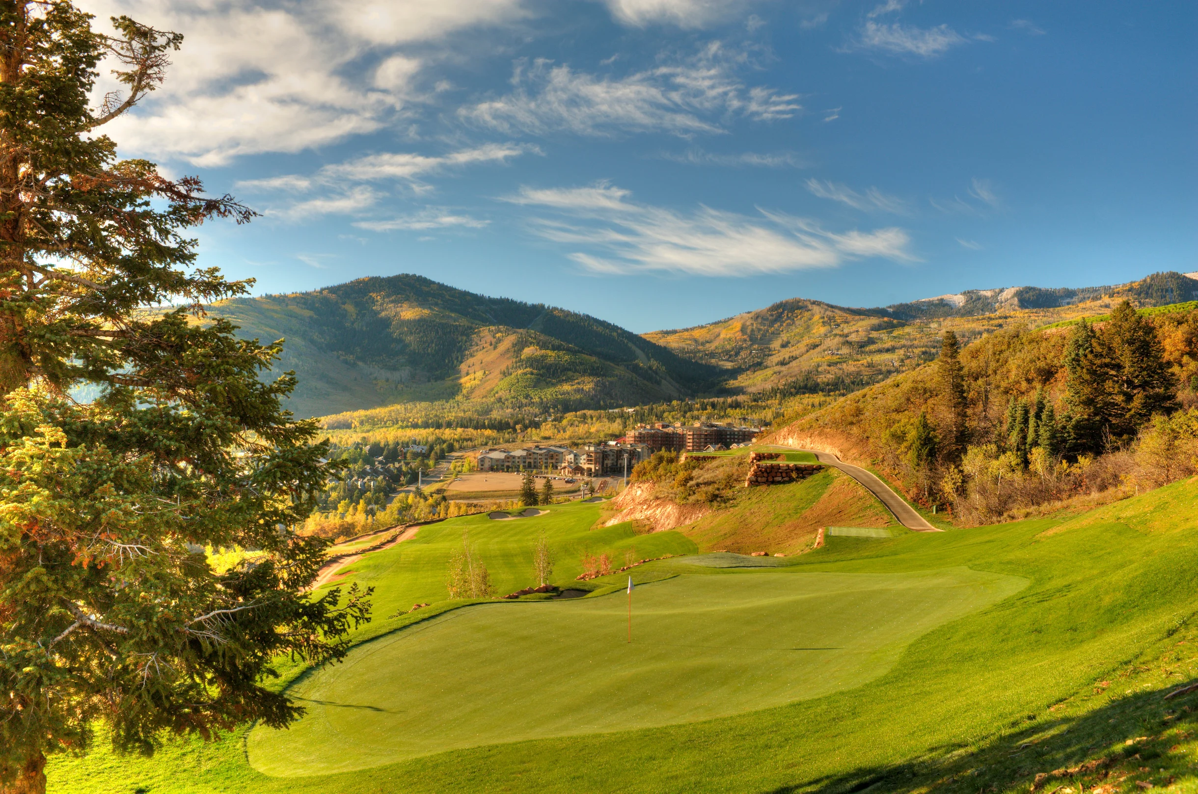 Wander Park City Hollow #41