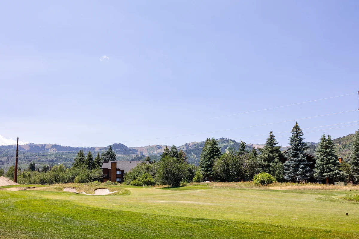 Wander Park City Powder