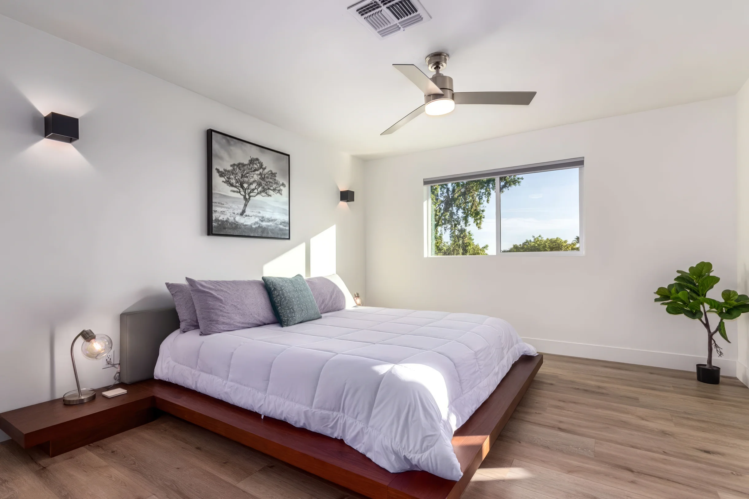 Wander Scottsdale Solterra #14