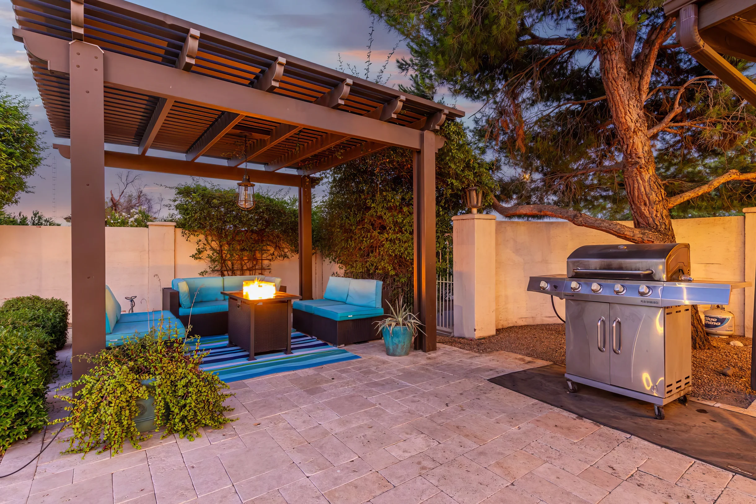 Wander Scottsdale Desert Glow #25