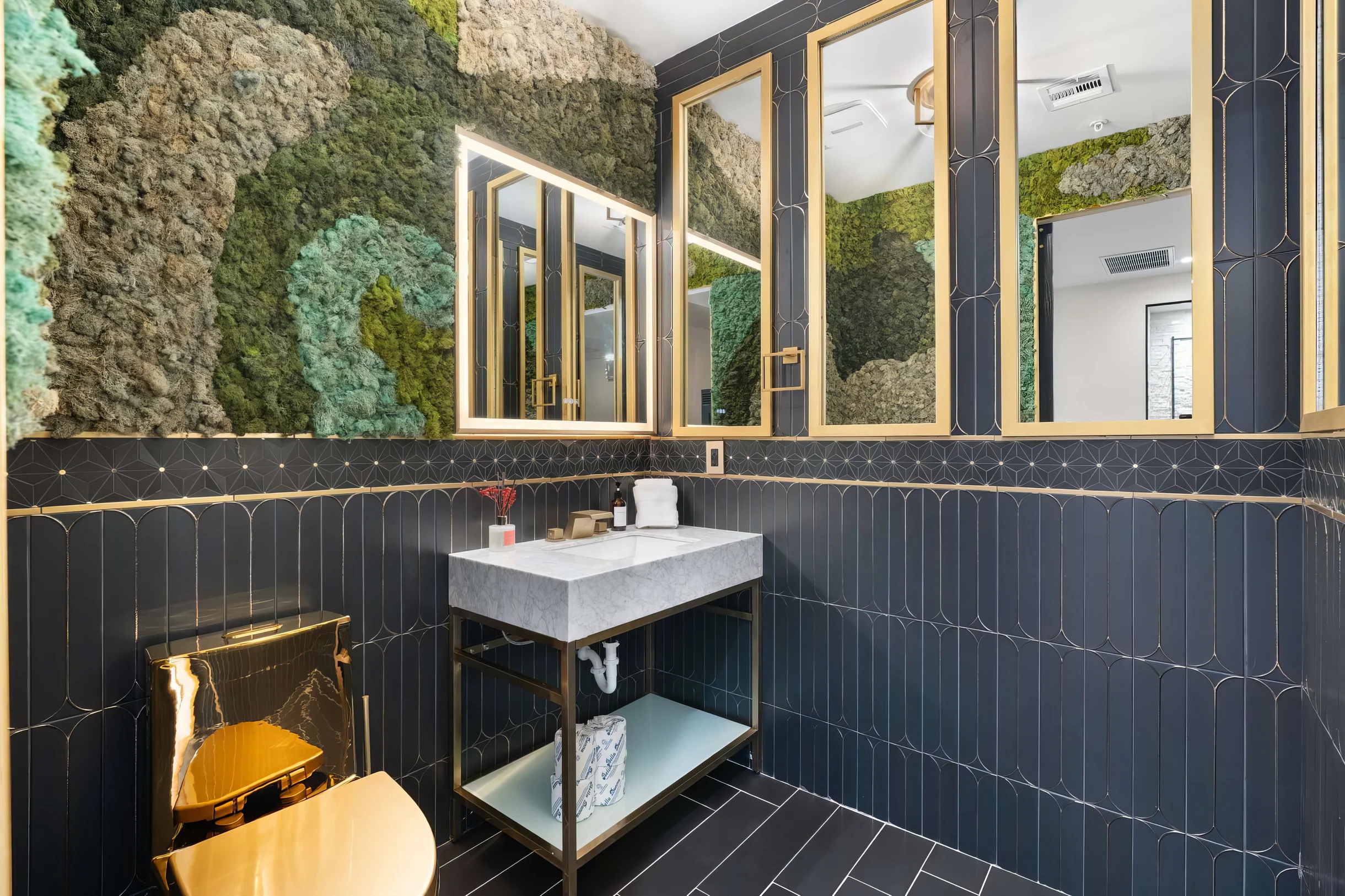 Wander Scottsdale Palo Verde #6