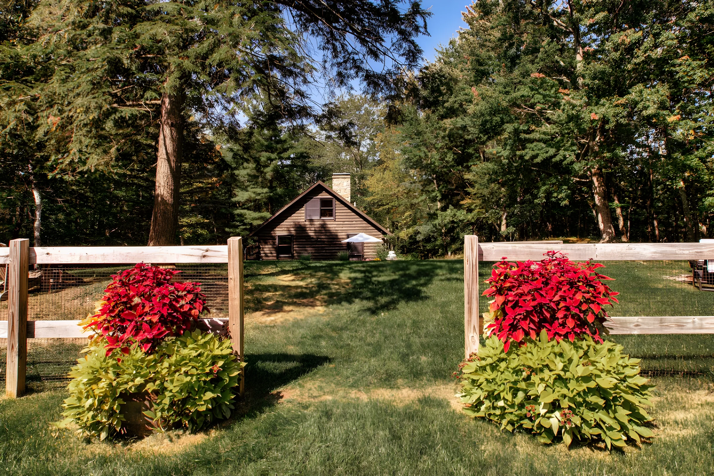 Wander Craryville Woods #5