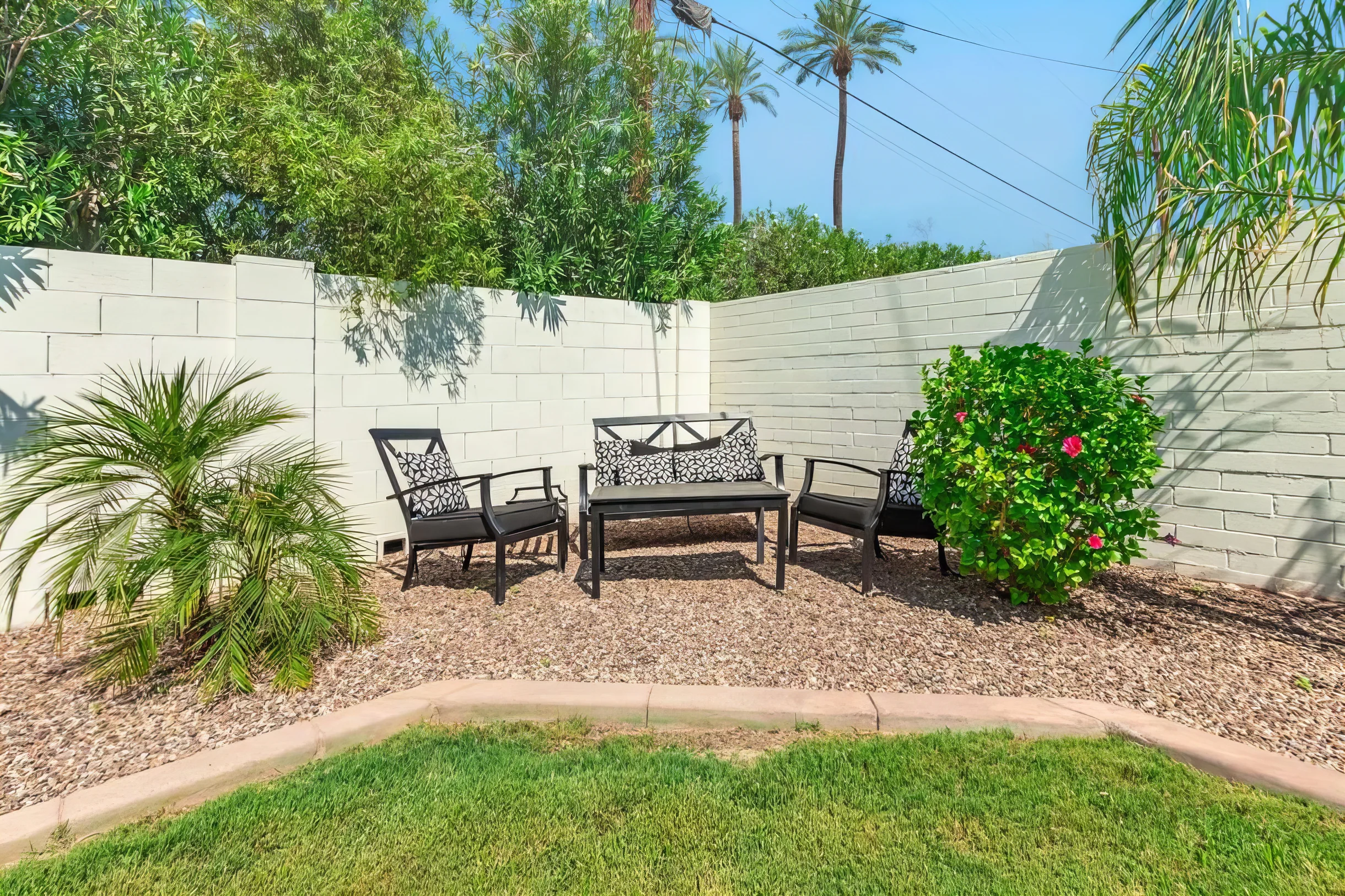 Wander Phoenix Desert Bloom #31