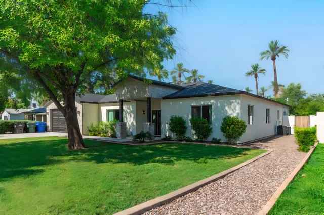 Wander Phoenix Desert Bloom #4