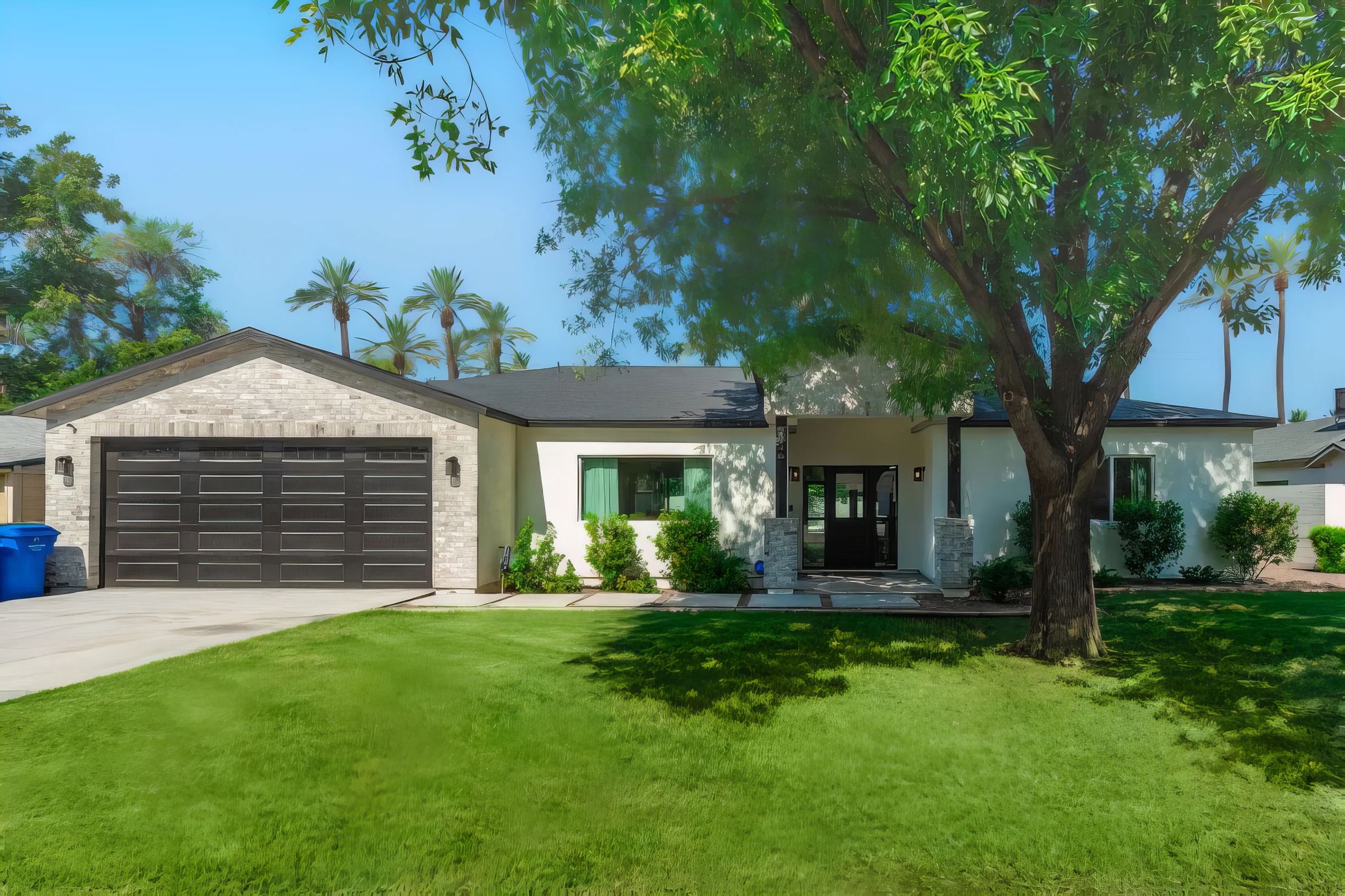 Wander Phoenix Desert Bloom #5