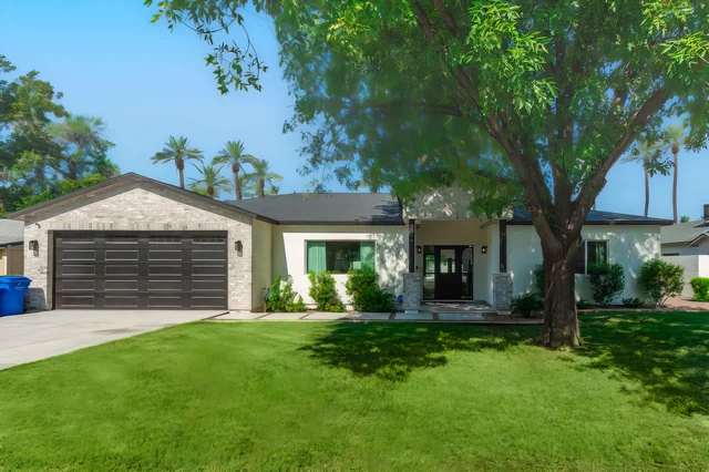 Wander Phoenix Desert Bloom #5