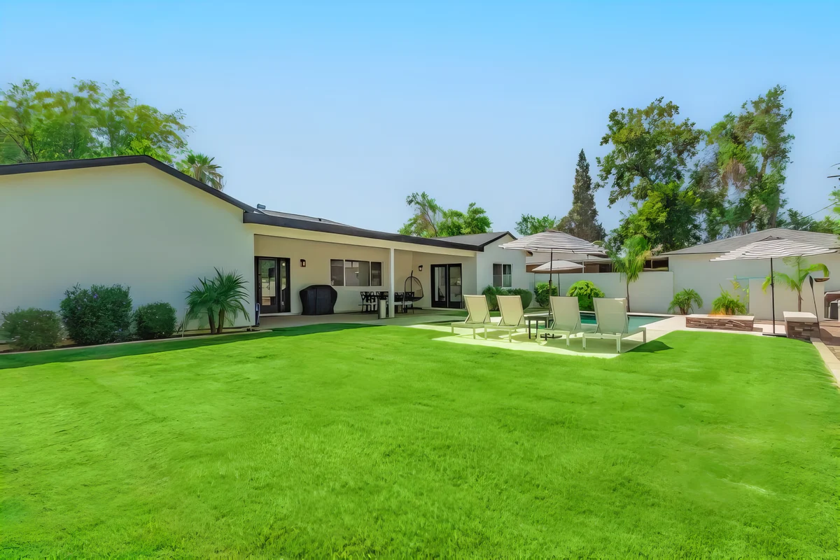 Wander Phoenix Desert Bloom