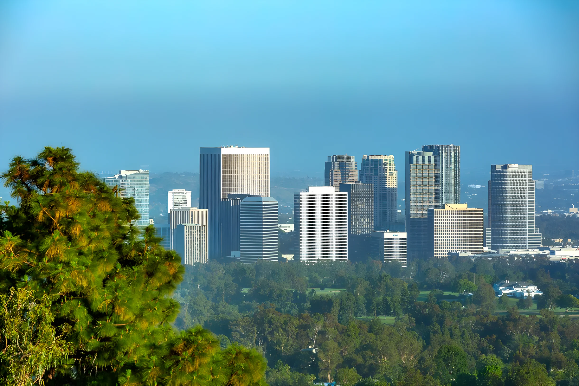 Stunning Modern Estate in BH | Pool, Spa, & Views #12