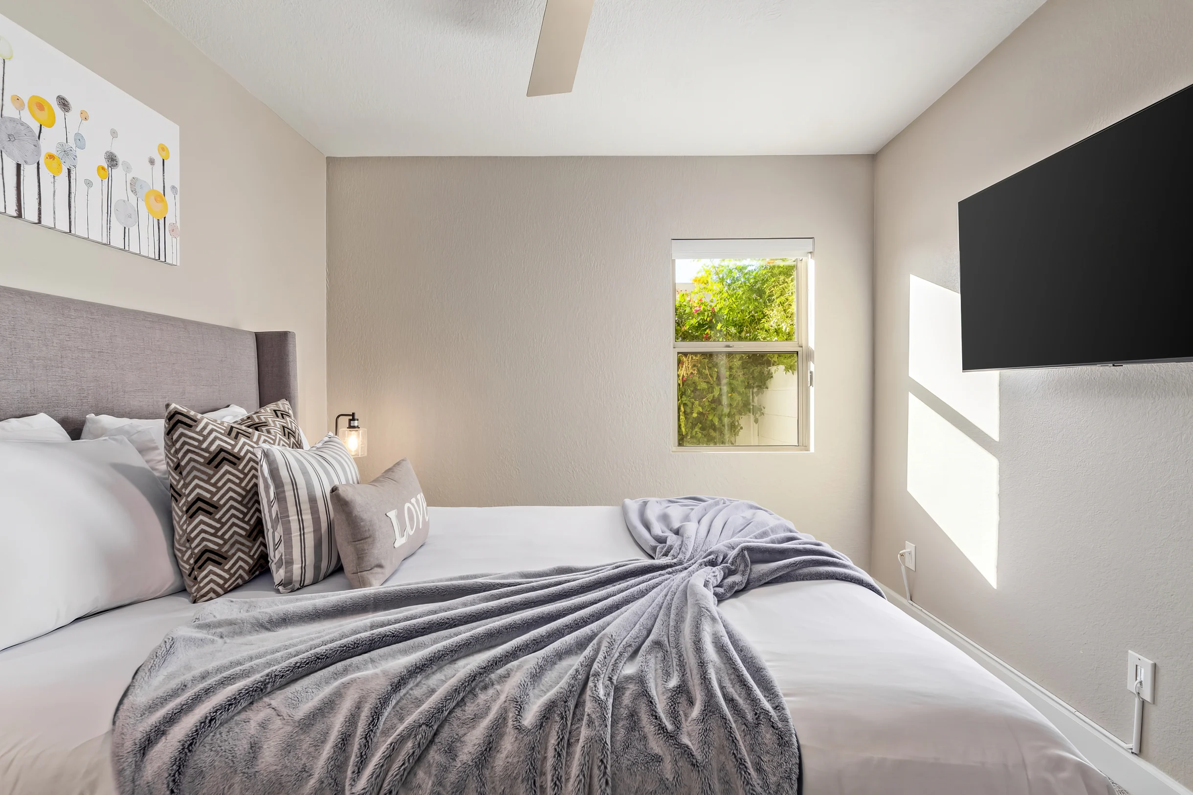 Wander Scottsdale Desert Vista #22