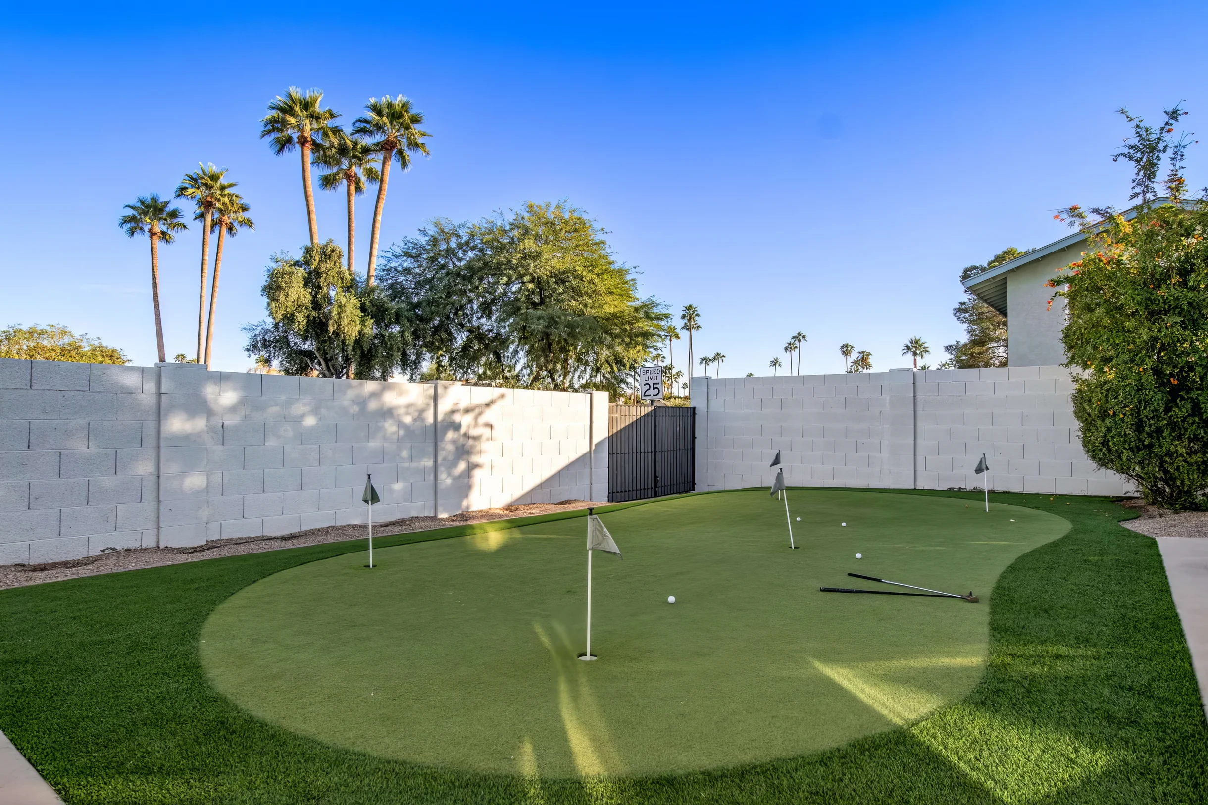 Wander Scottsdale Desert Vista #25