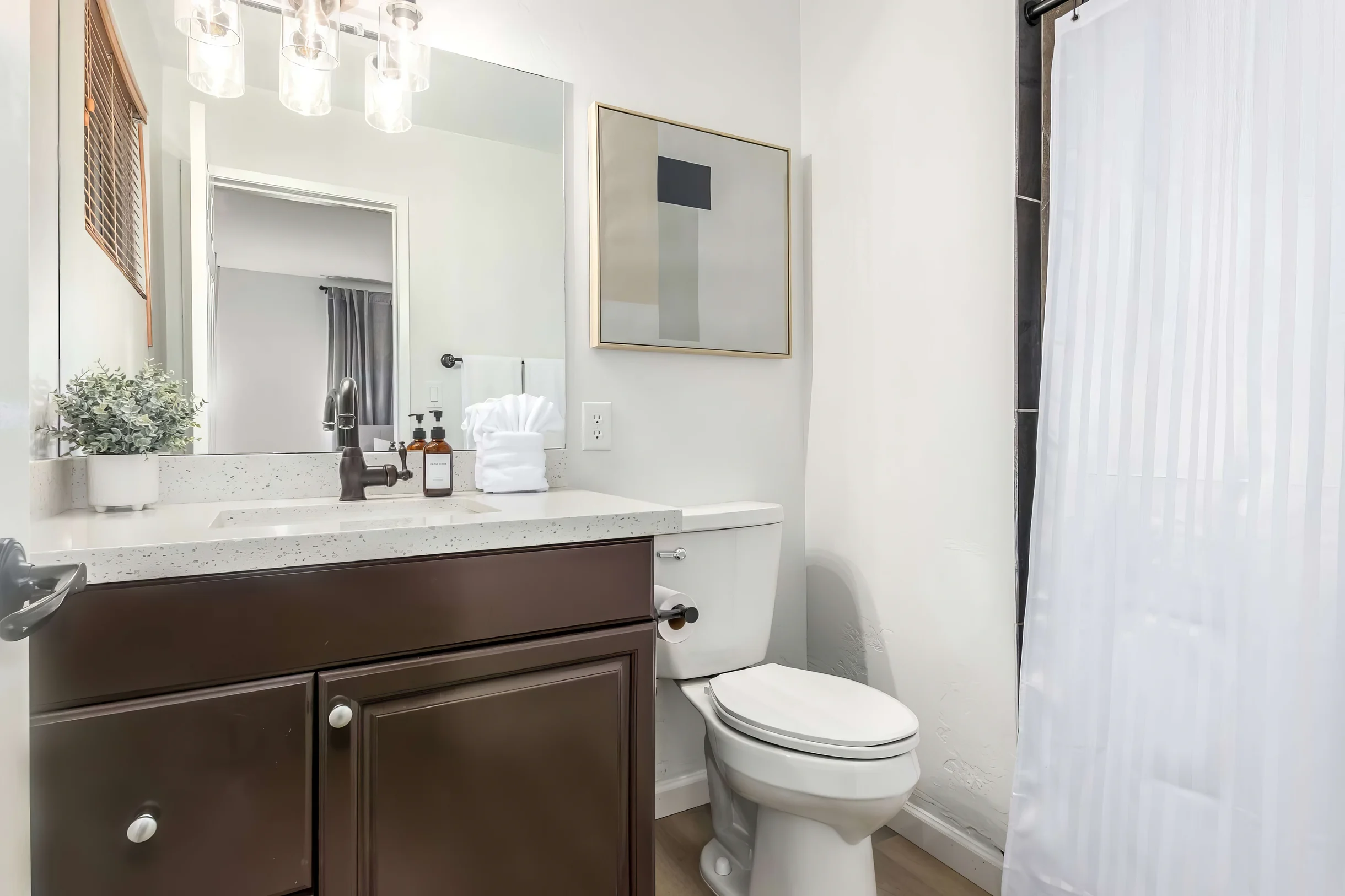 Wander Scottsdale Palmhouse #13