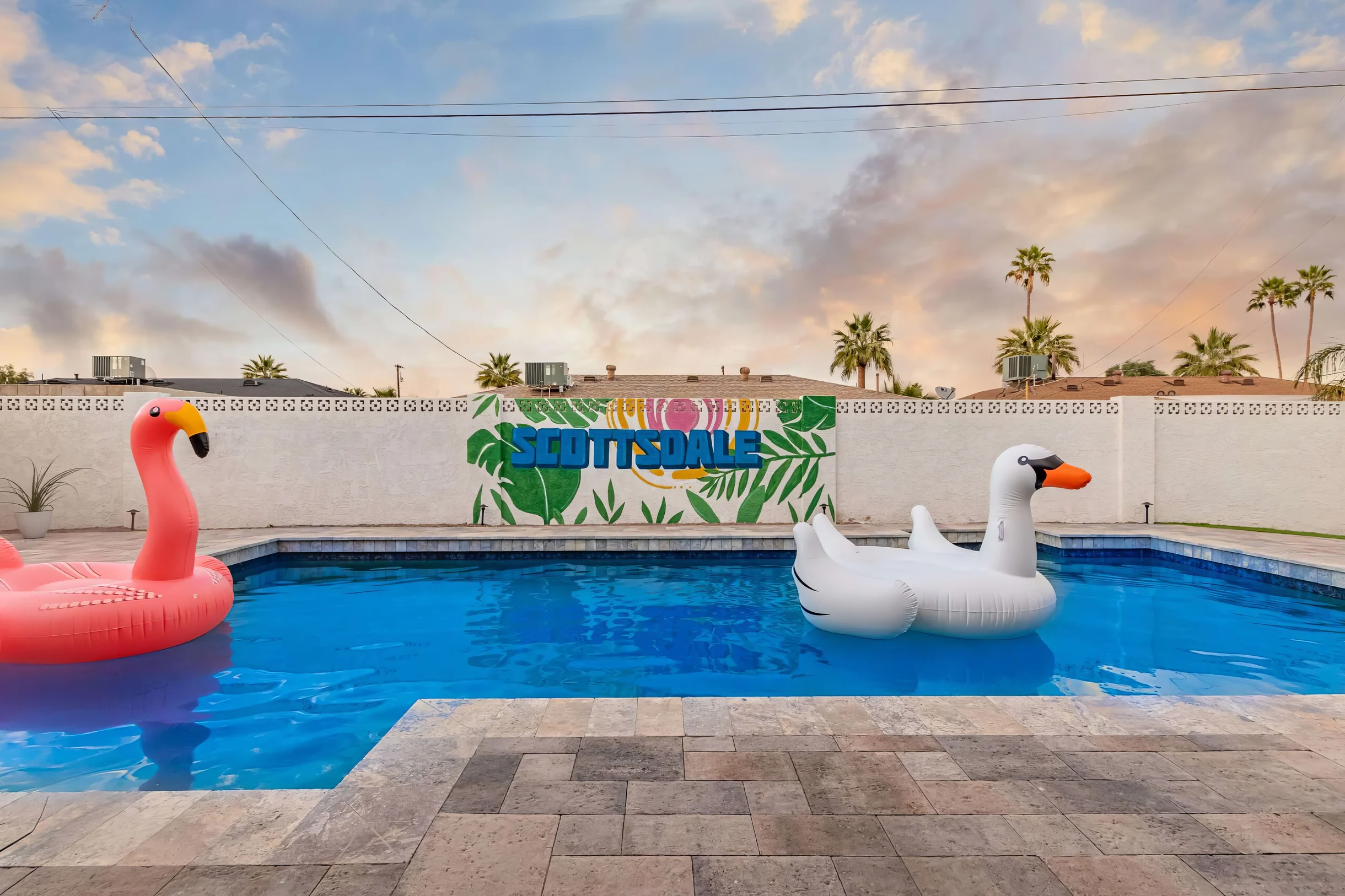 Wander Scottsdale Palmhouse #31