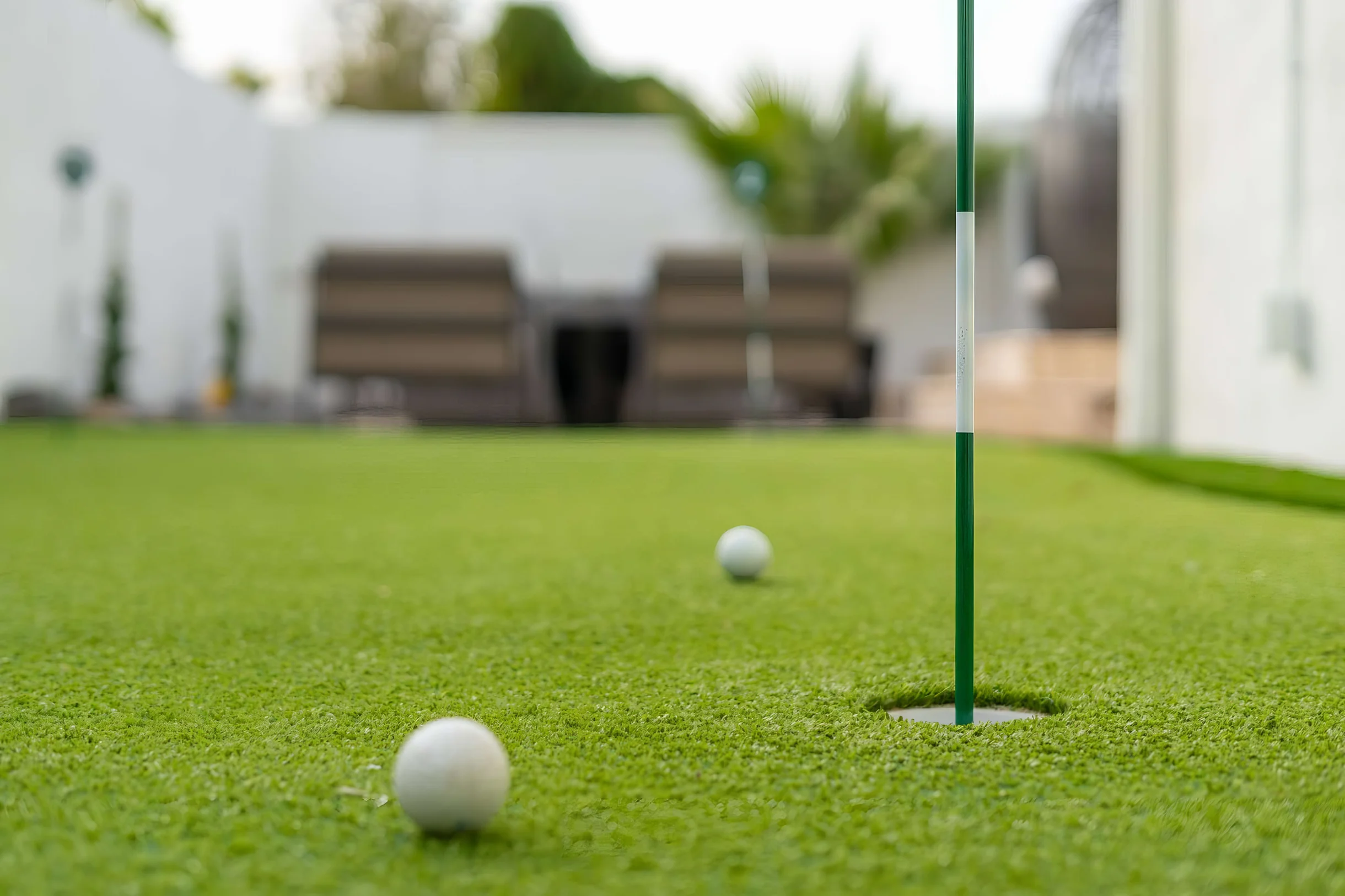 Wander Paradise Valley Sonoran #42