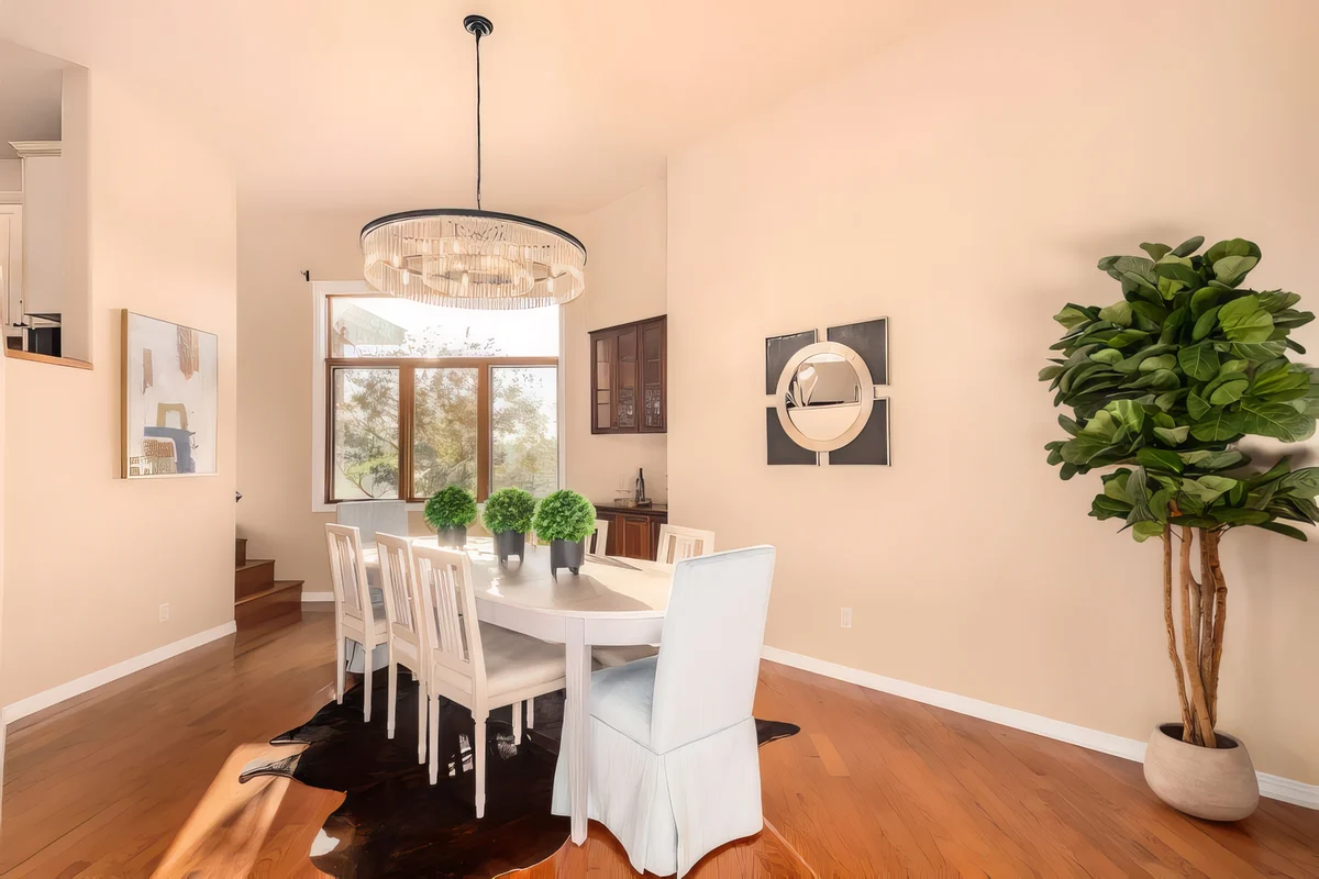 Wander Flagstaff Forest #17