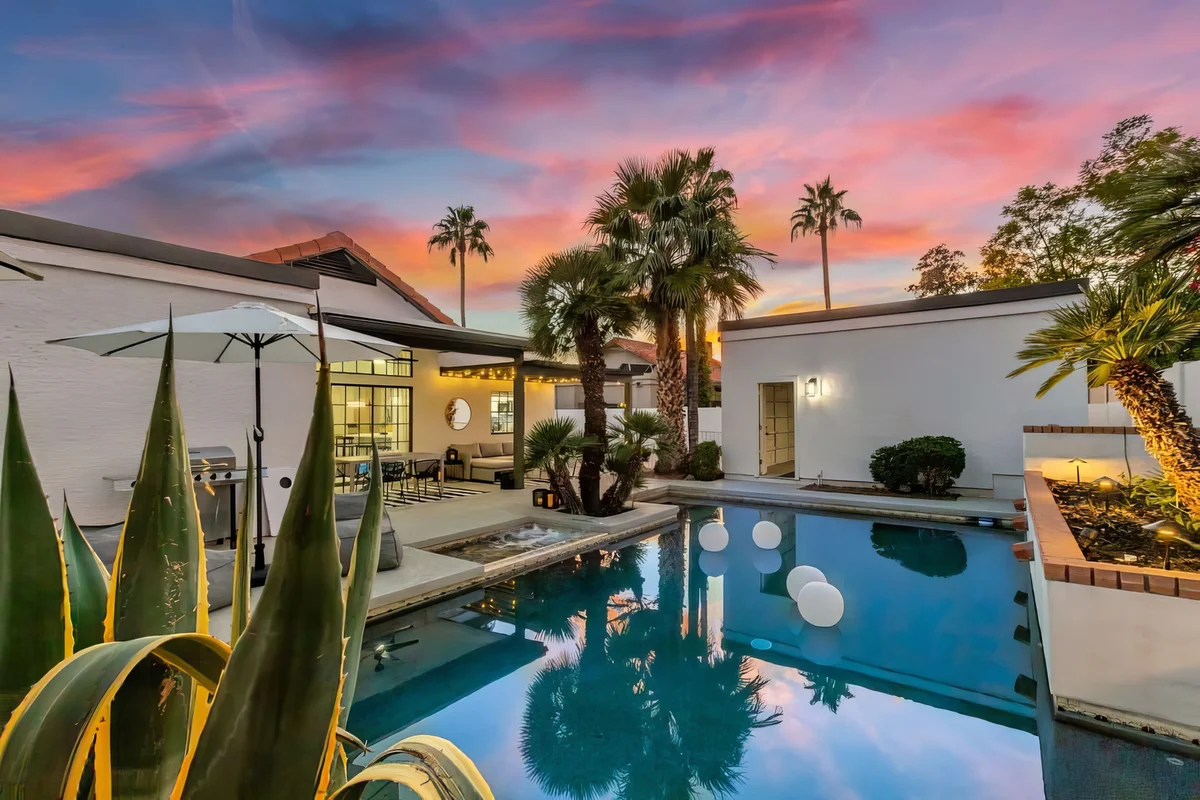 Wander Scottsdale Desert Bloom