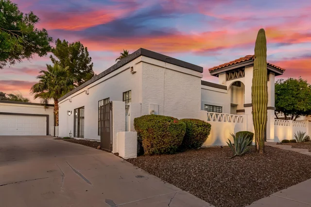 Wander Scottsdale Desert Bloom #5