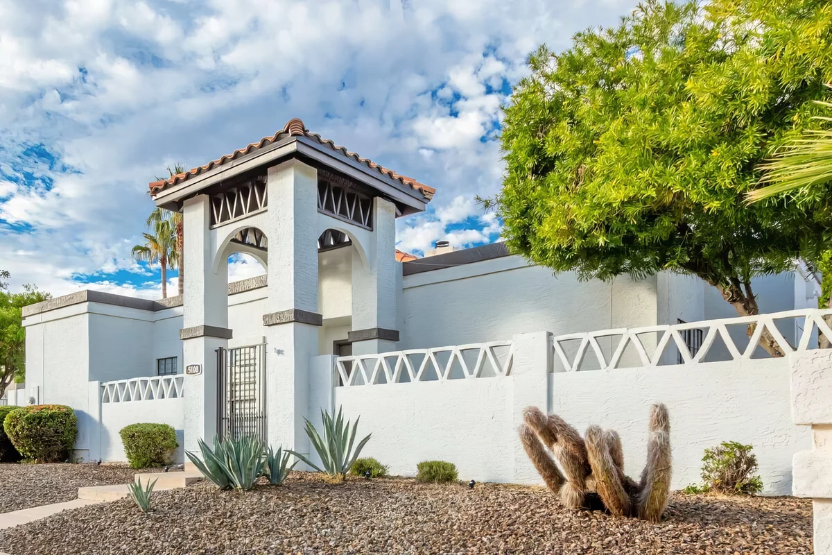 Wander Scottsdale Desert Bloom #27