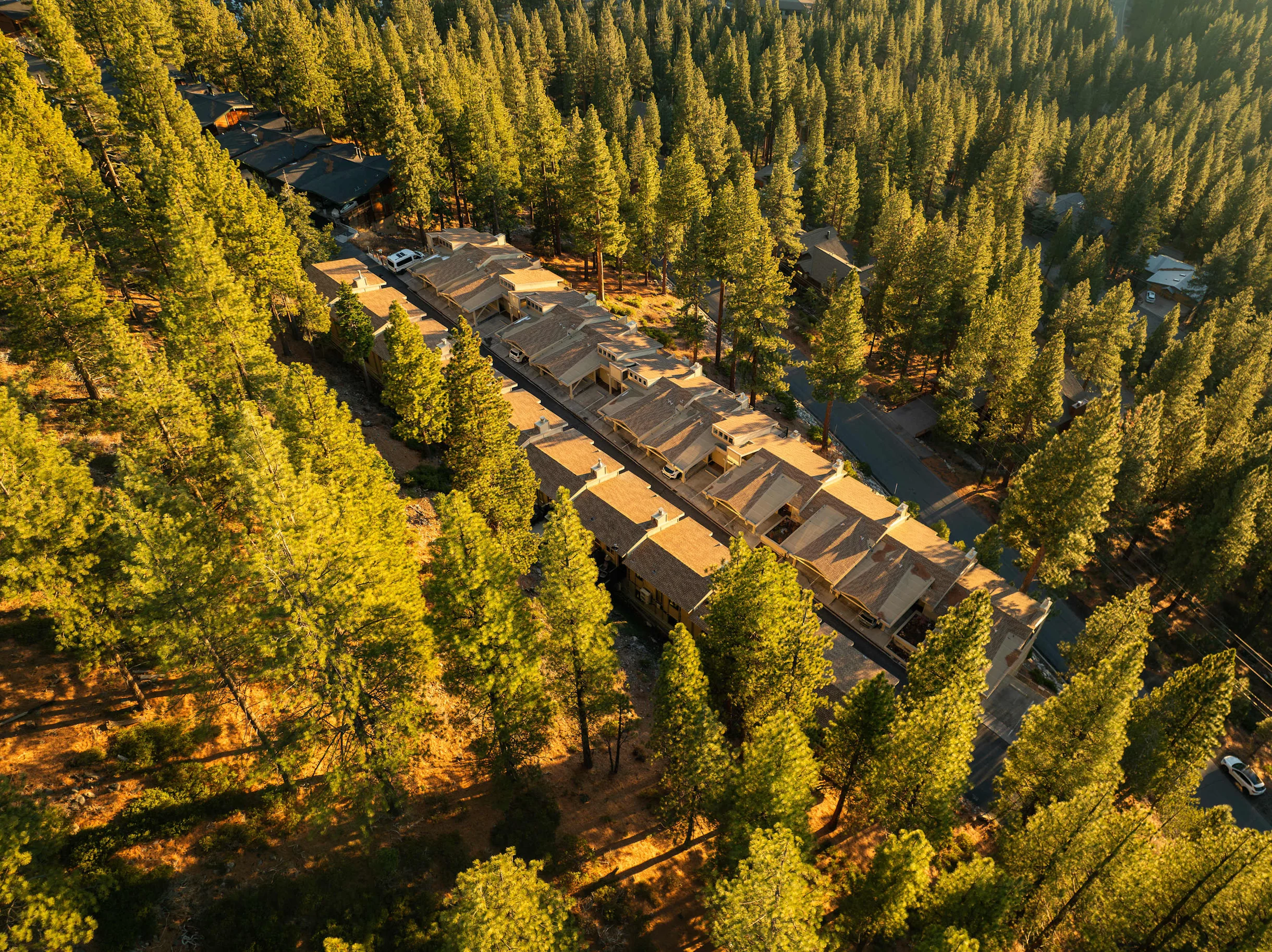 Wander Incline Village Escape #22