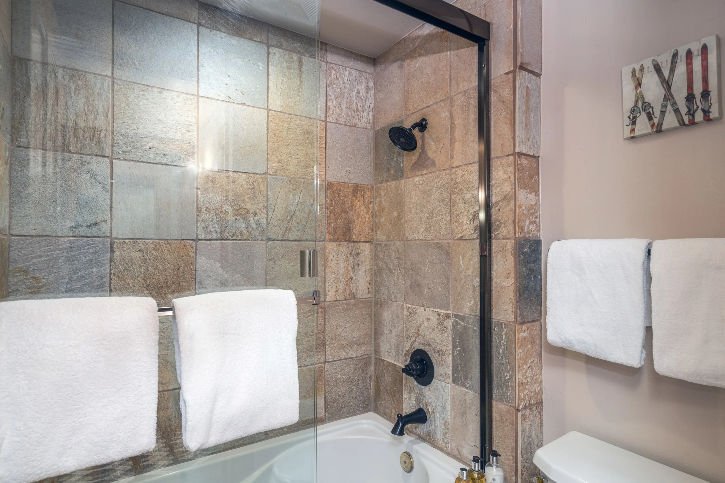 Wander Telluride Condo #7