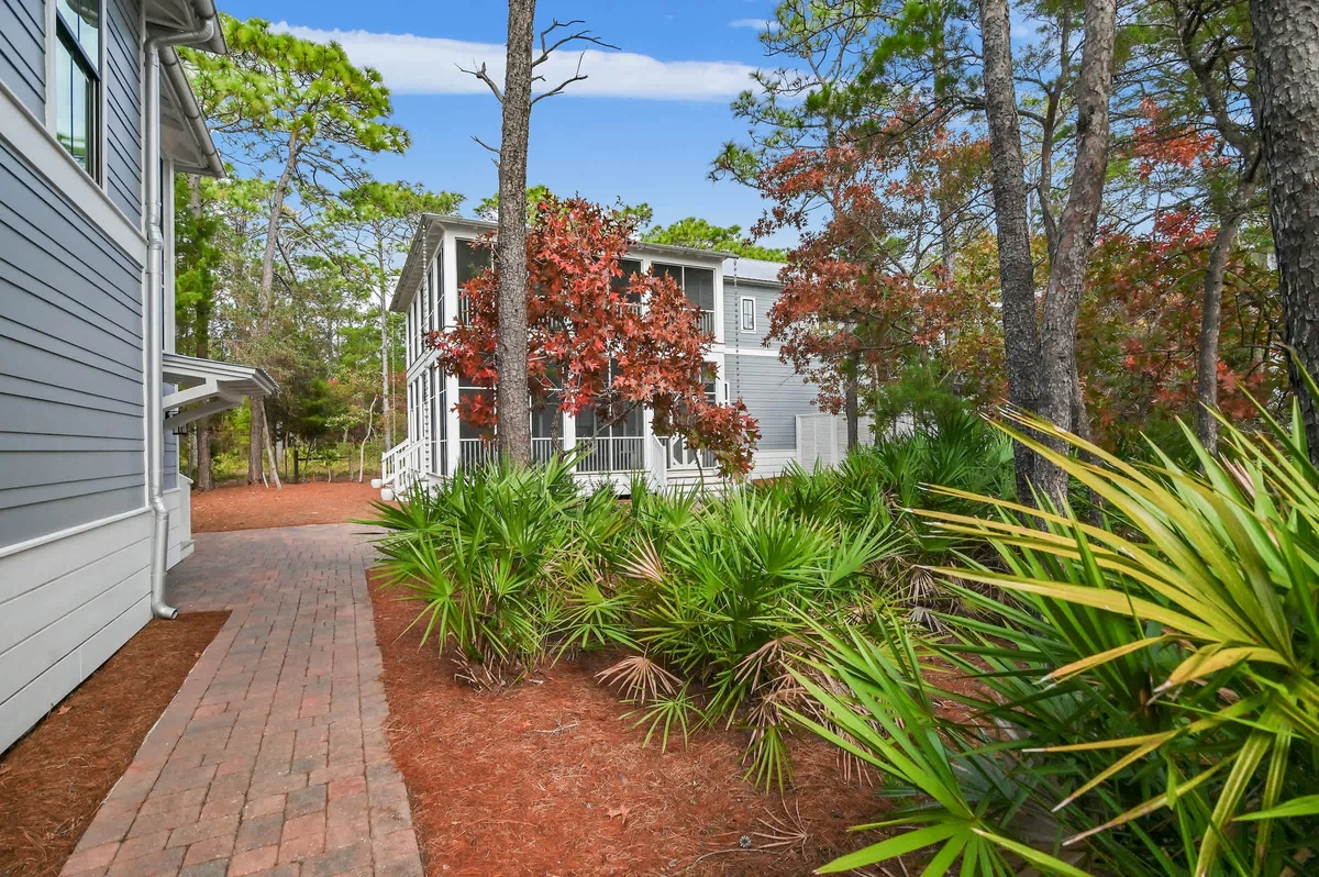 Wander Seacrest Paradise #42