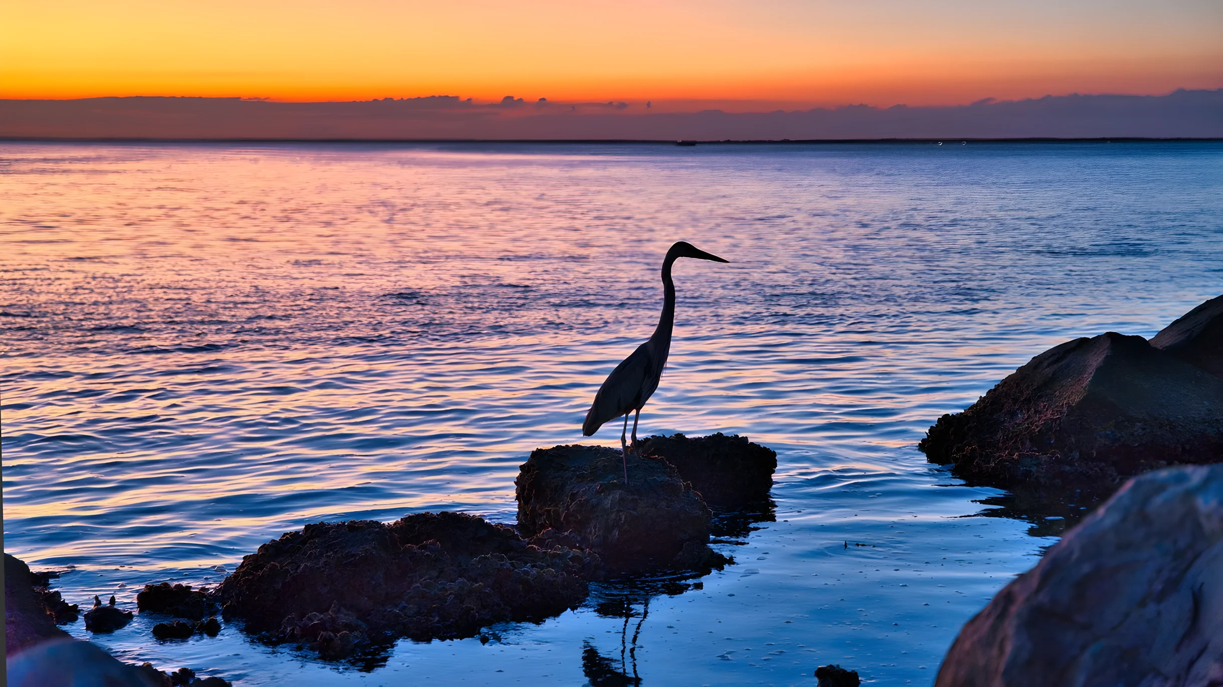 Wander St. George Tides #71